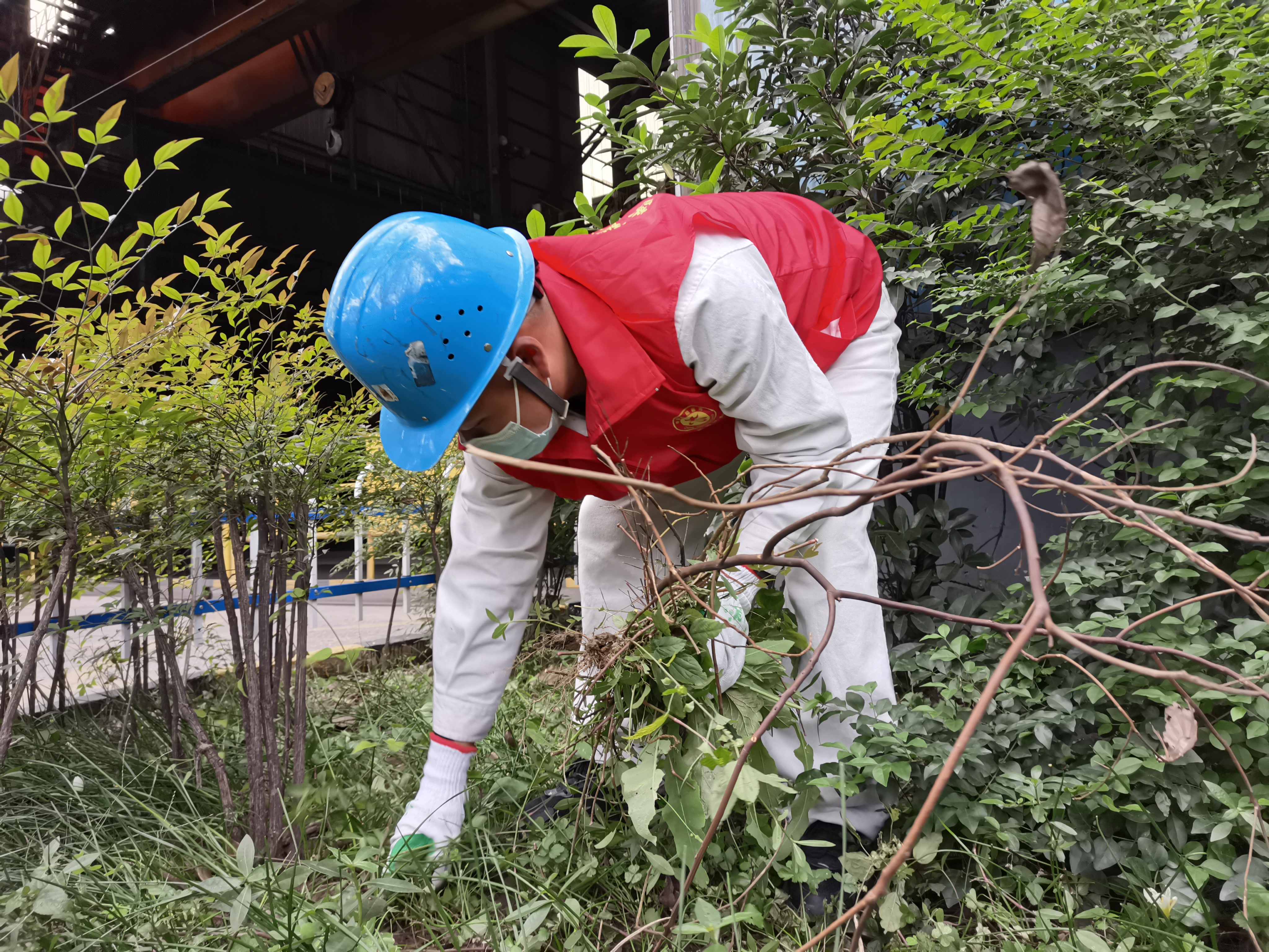 多方发力 画好绿色发展新画卷