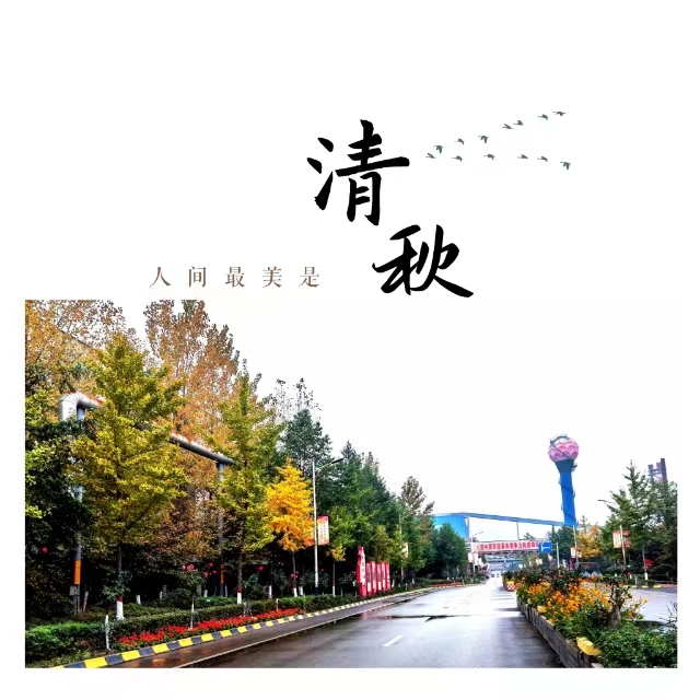 入眼皆是画！打卡十里钢城“花样”秋天