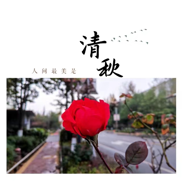 入眼皆是画！打卡十里钢城“花样”秋天