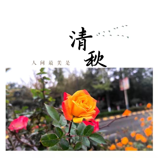 入眼皆是画！打卡十里钢城“花样”秋天