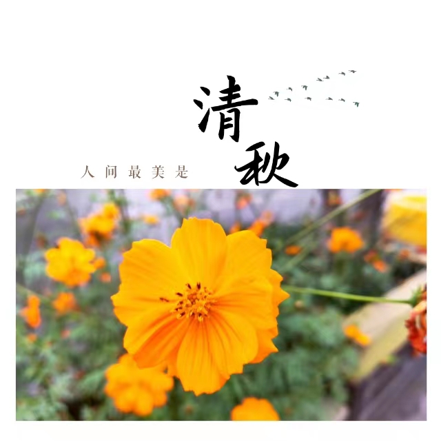 入眼皆是画！打卡十里钢城“花样”秋天