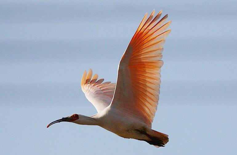 这里，有我的年年和四季