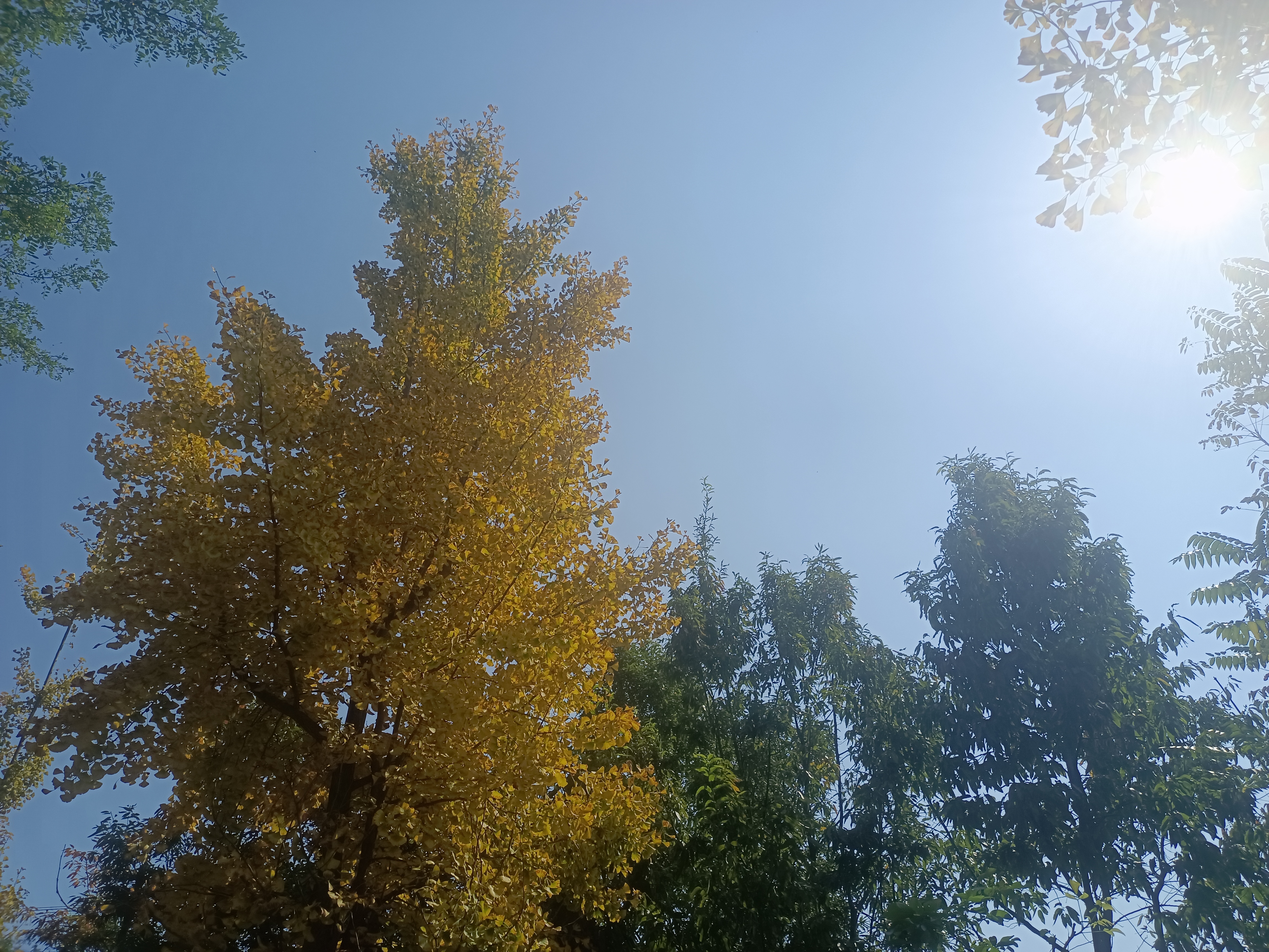 秋去冬来又一载