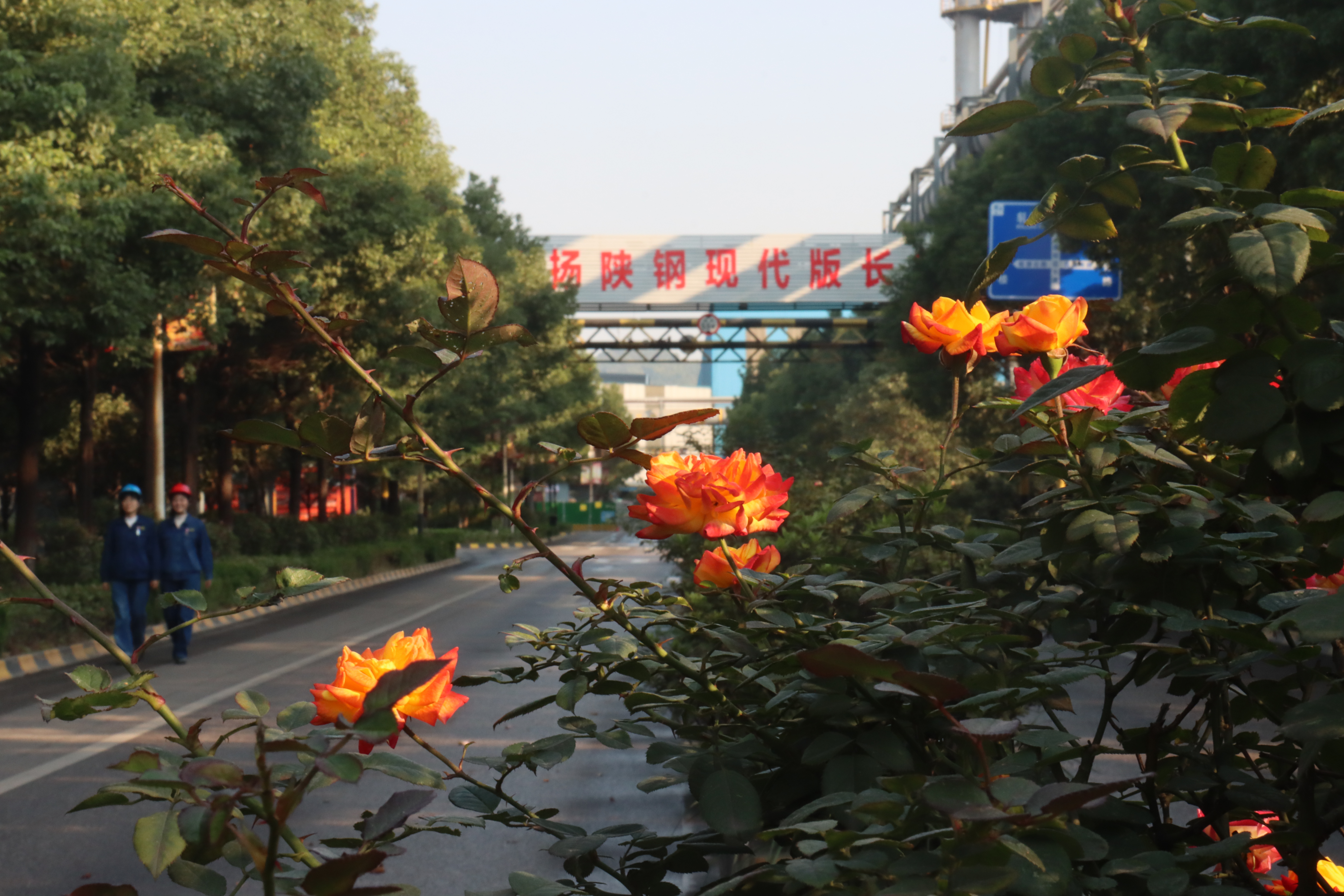 逐“绿”向前行 “碳”出新路径