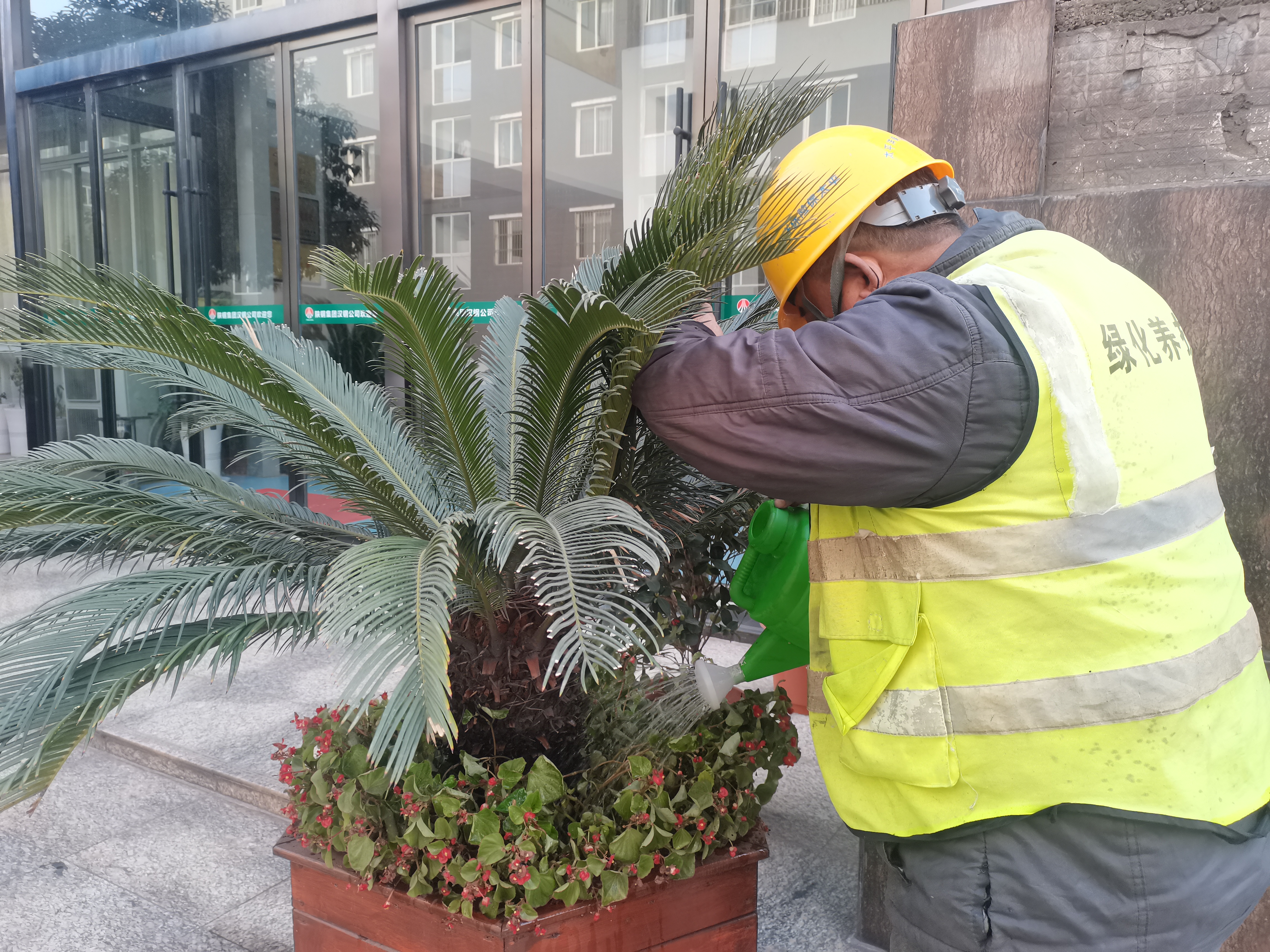 公司多措并举 做好冬季绿化养护工作
