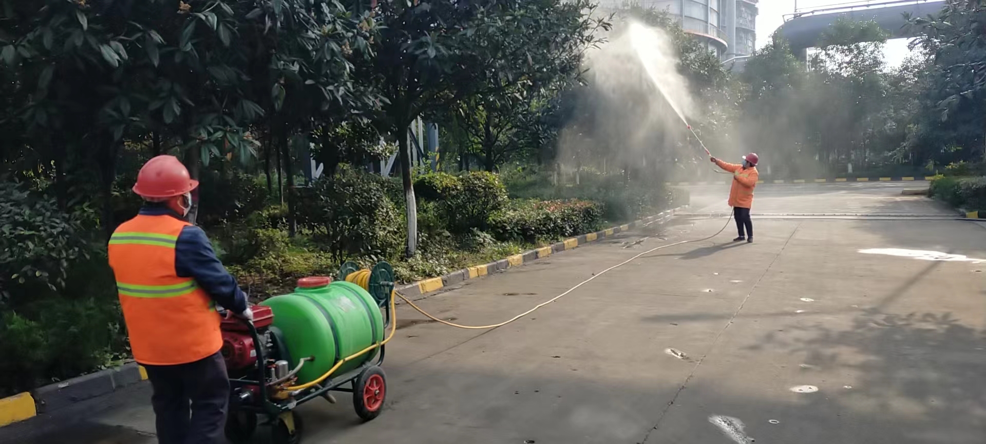 公司多措并举 做好冬季绿化养护工作