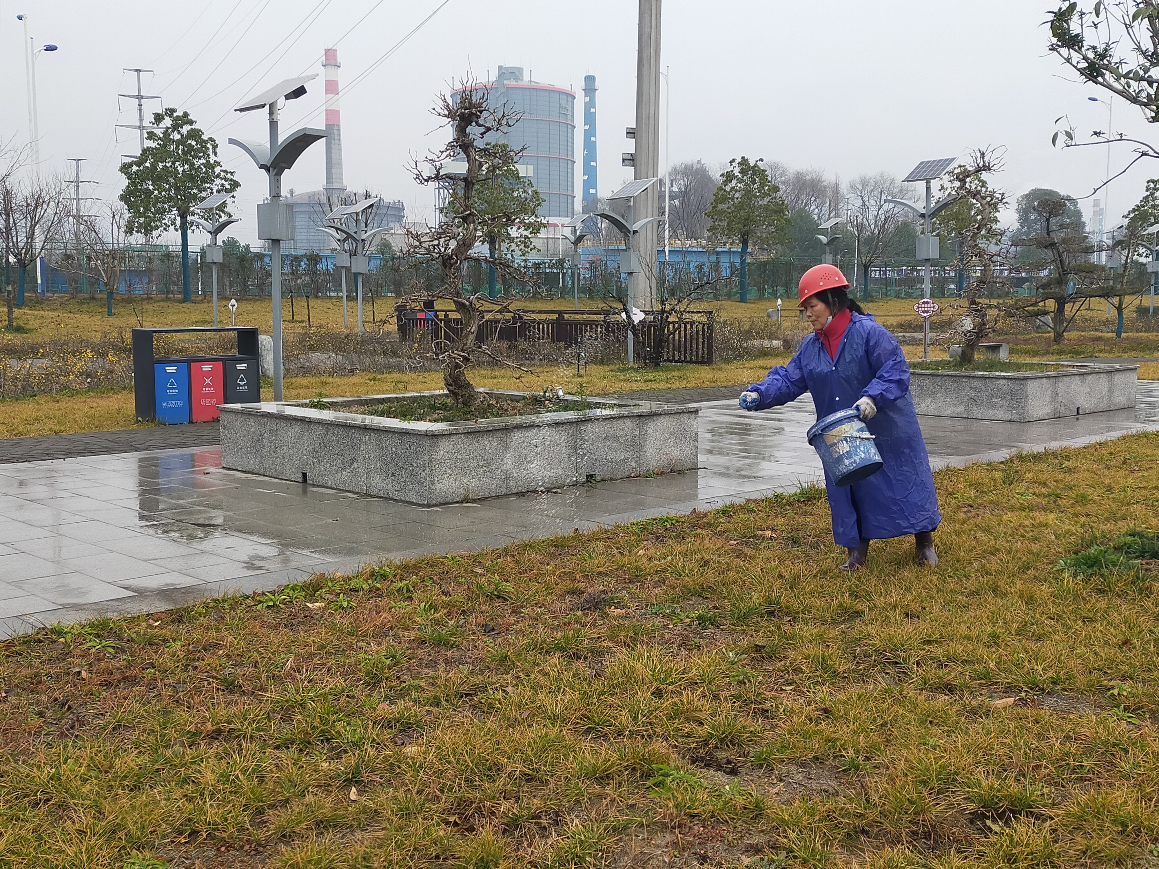 不负光阴不负春——公司紧锣密鼓开展春季绿化养护工作