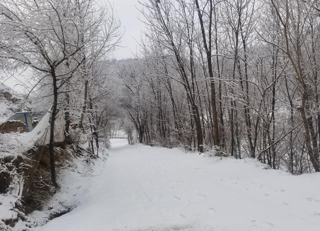 今我来思，雨雪霏霏