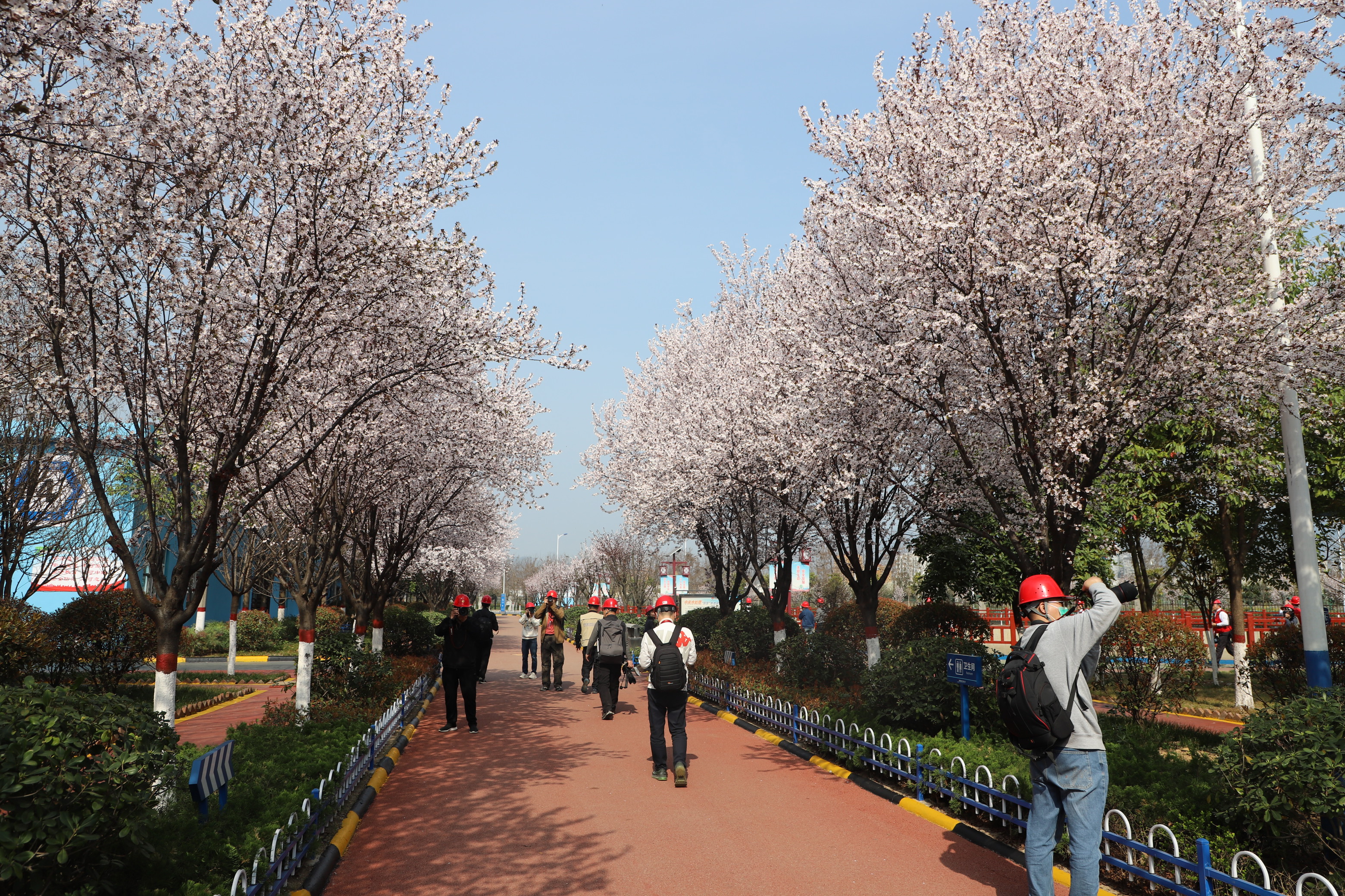 第九届全国职工摄影展汉中采风团到公司开展企业采风活动