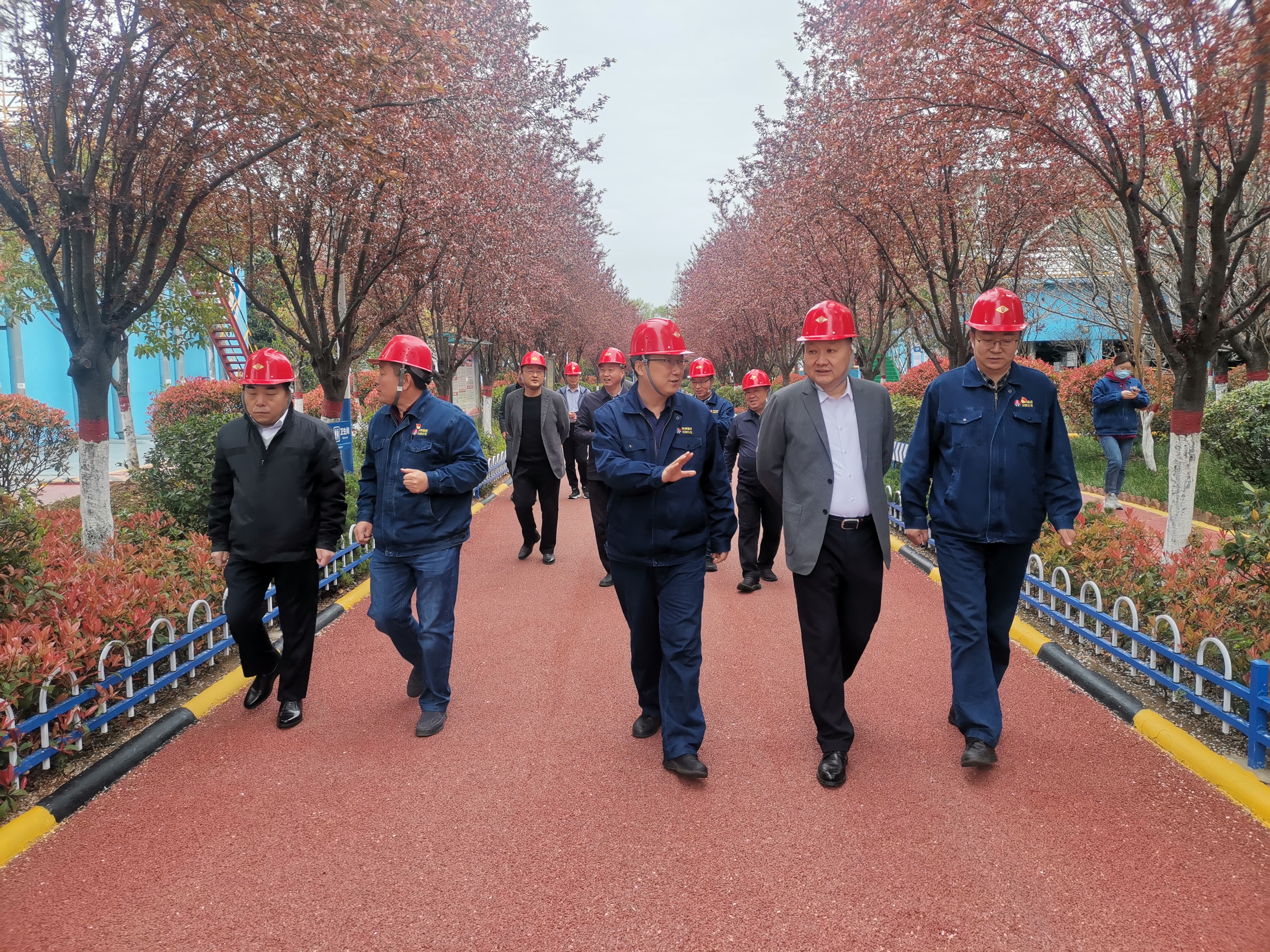 国家市场监督管理总局李常青一行到公司检查调研高质量发展工作 国家市场监督管理总局李常青一行到公司检查调研高质量发展工作