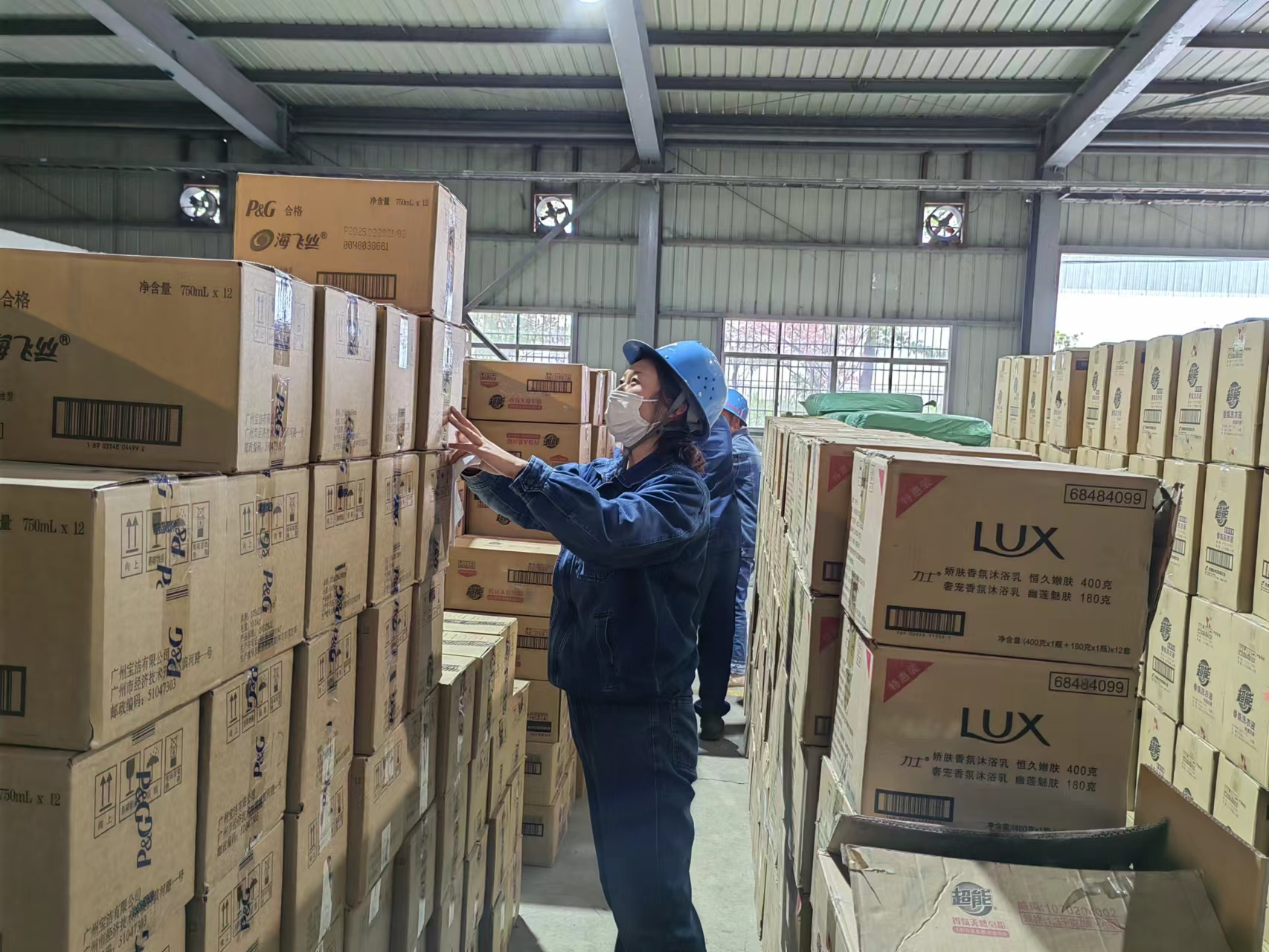 沐浴春光，库房里盛开了别样的“花”