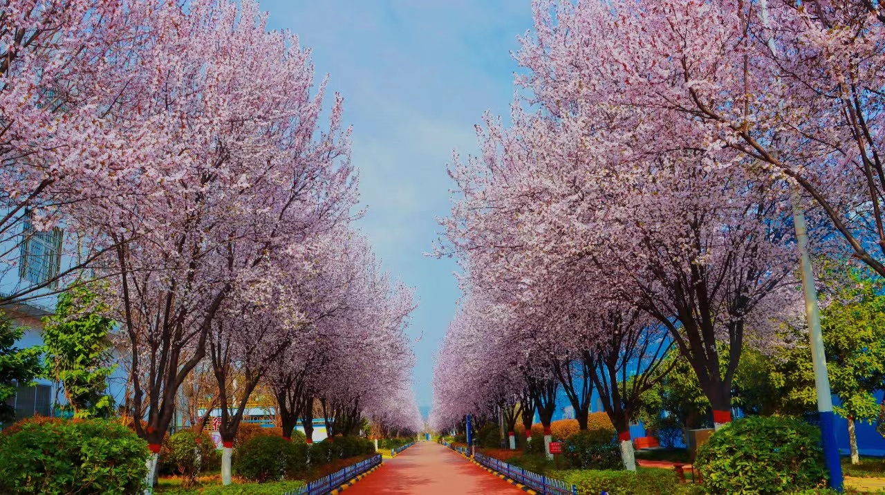 拥抱“双碳”时代 抢跑绿色发展“新赛道”