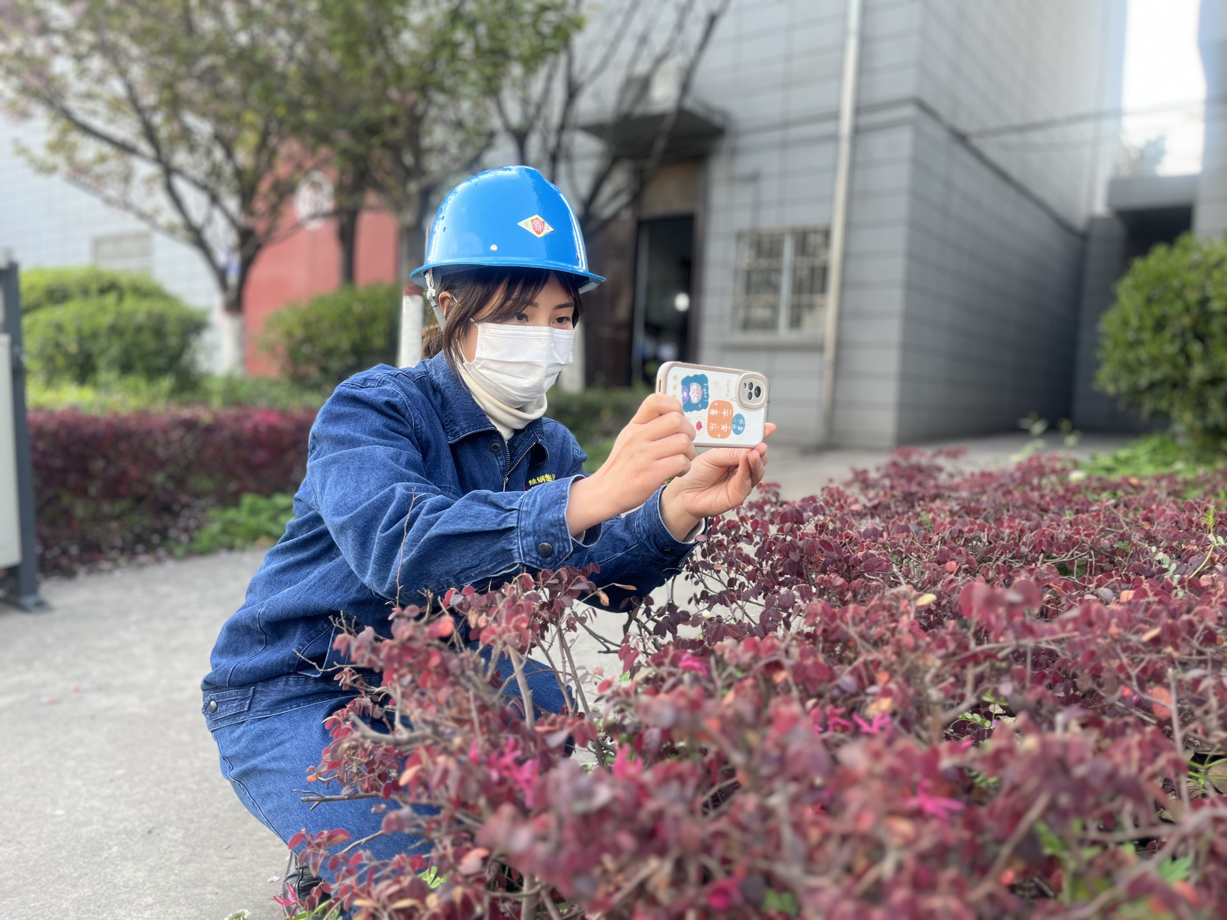 春到钢城来打卡