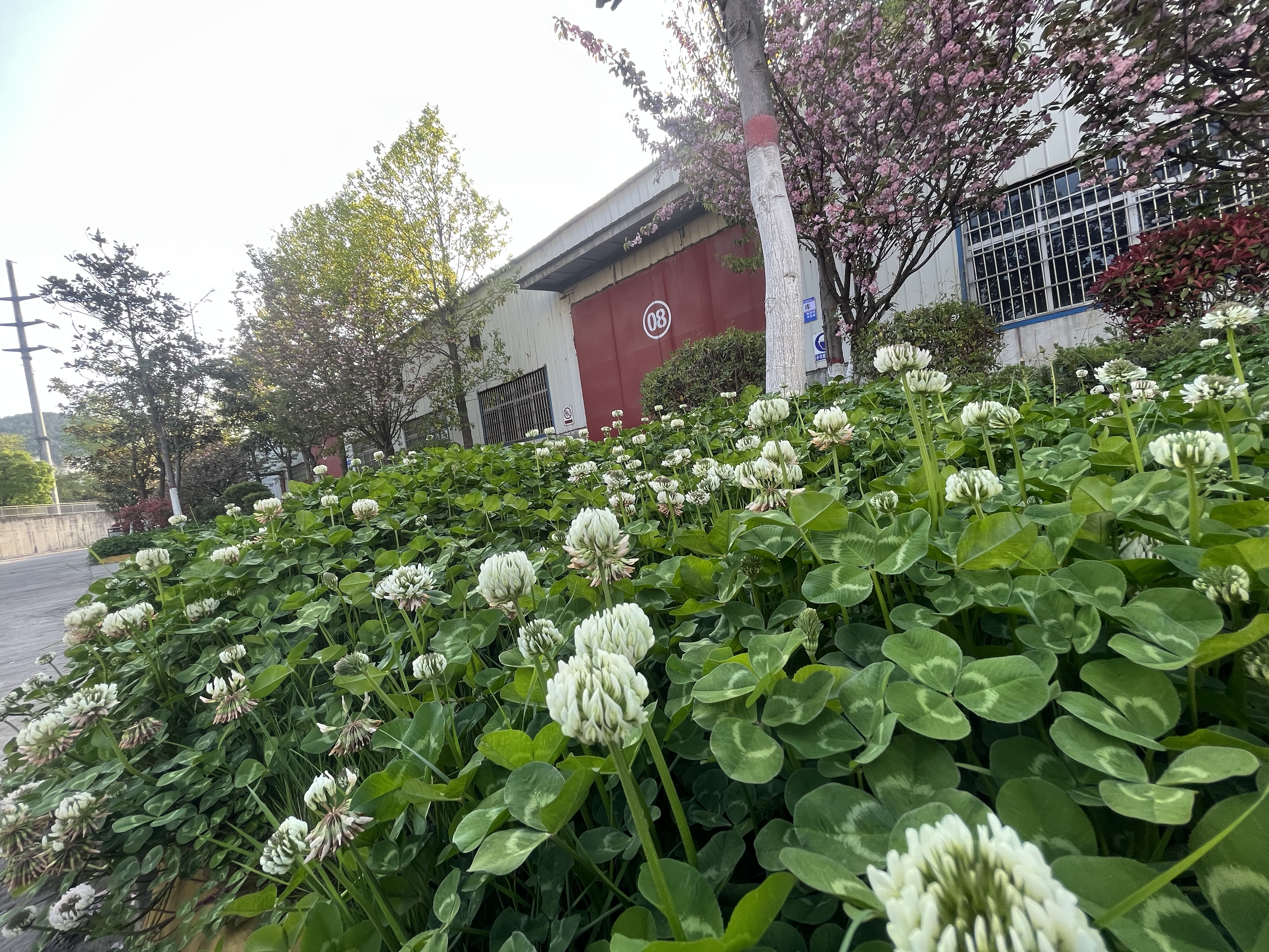 春到钢城来打卡