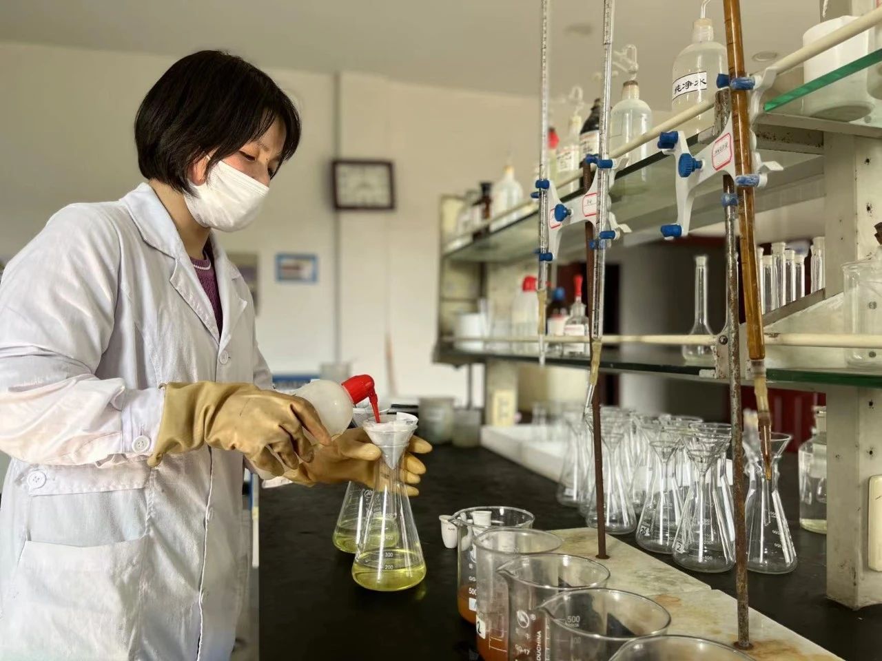 激活“人才引擎”，他们育人有道道……