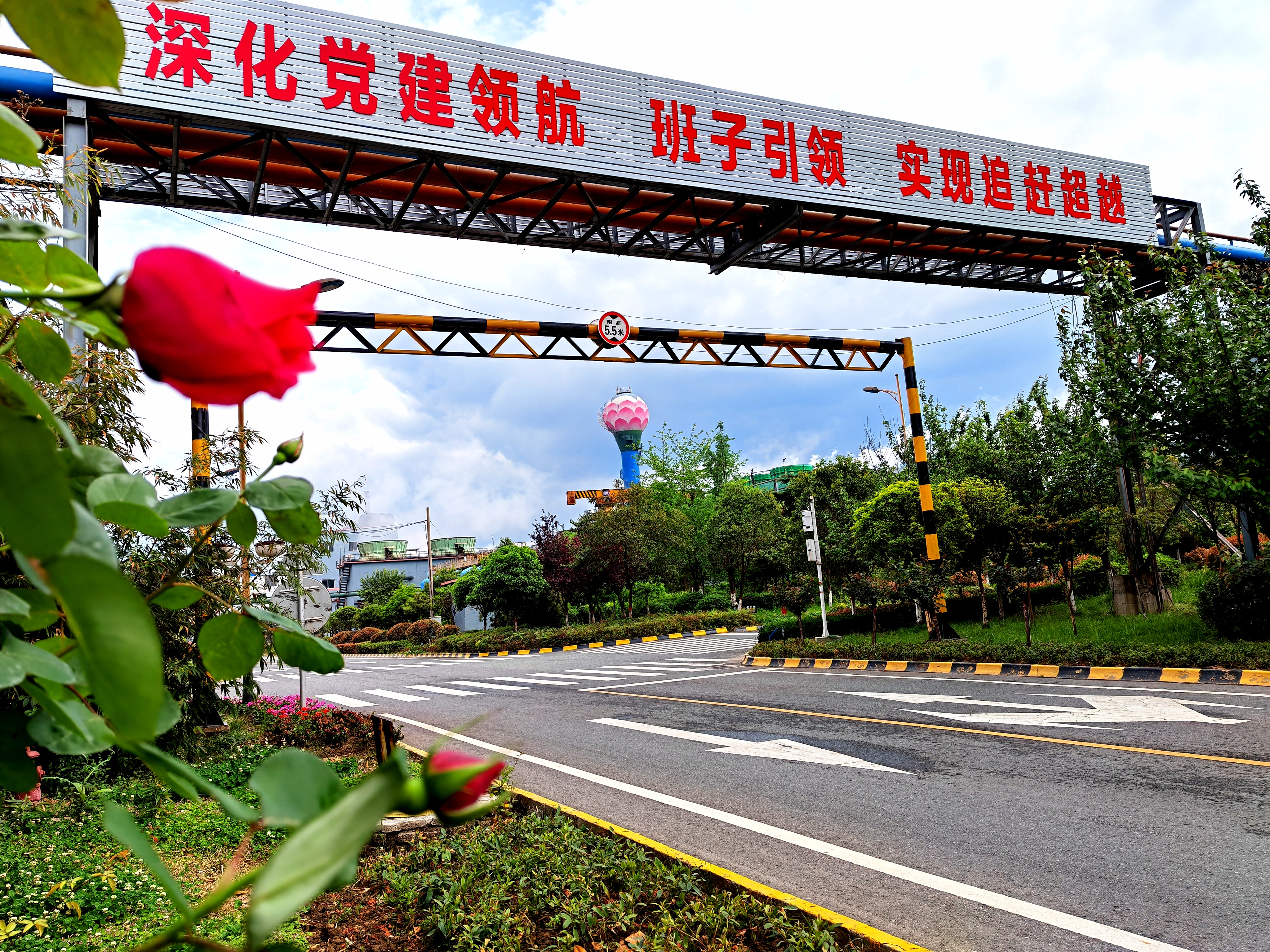 绿色发展绘就美丽汉钢新画卷