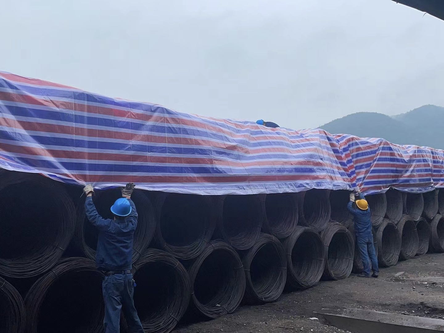 多措并举提高钢材质量，打造“禹龙”百年品牌