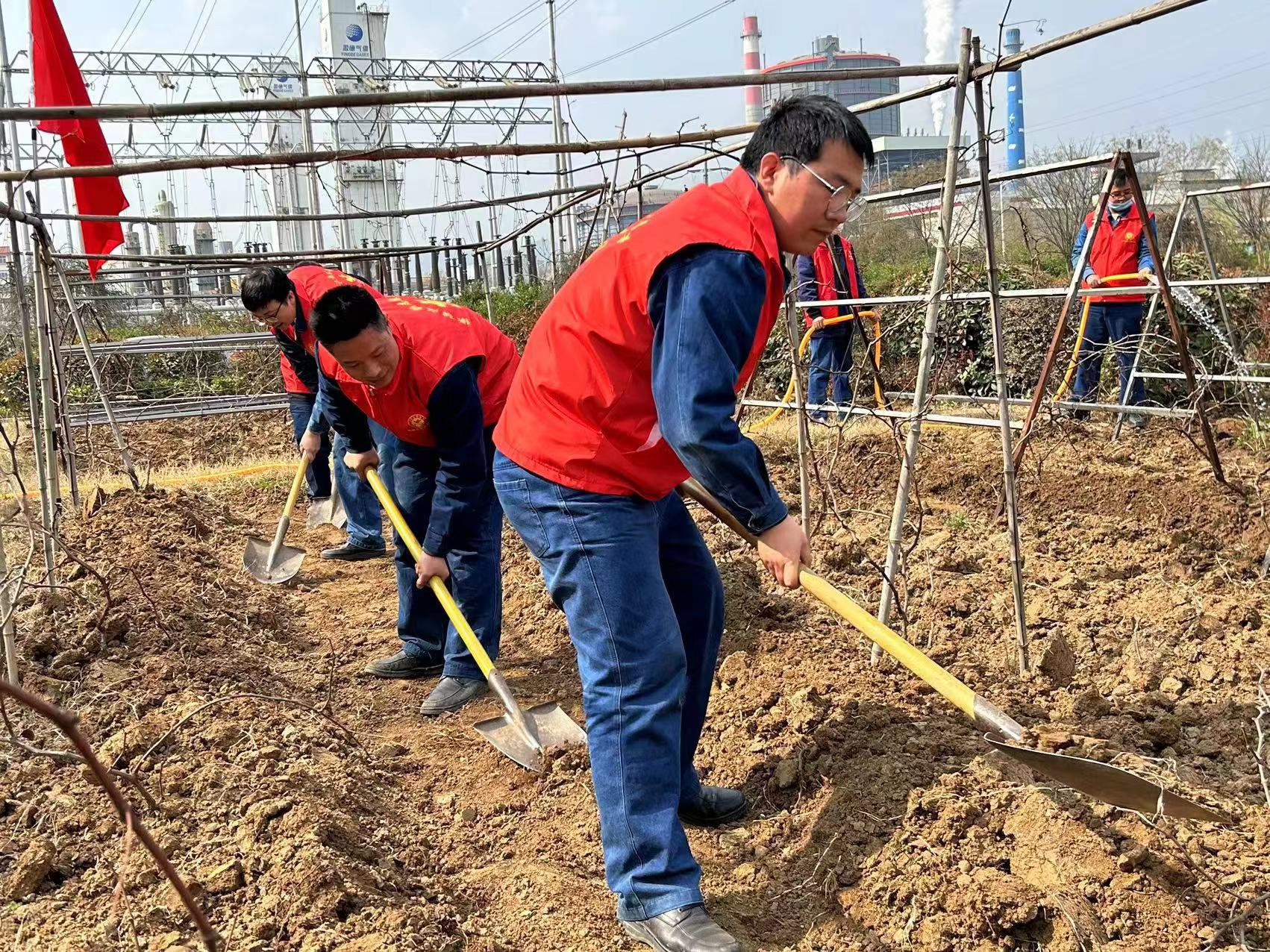 青春榜Yong!以奋斗抒写青春华章 青春榜Yong!以奋斗抒写青春华章