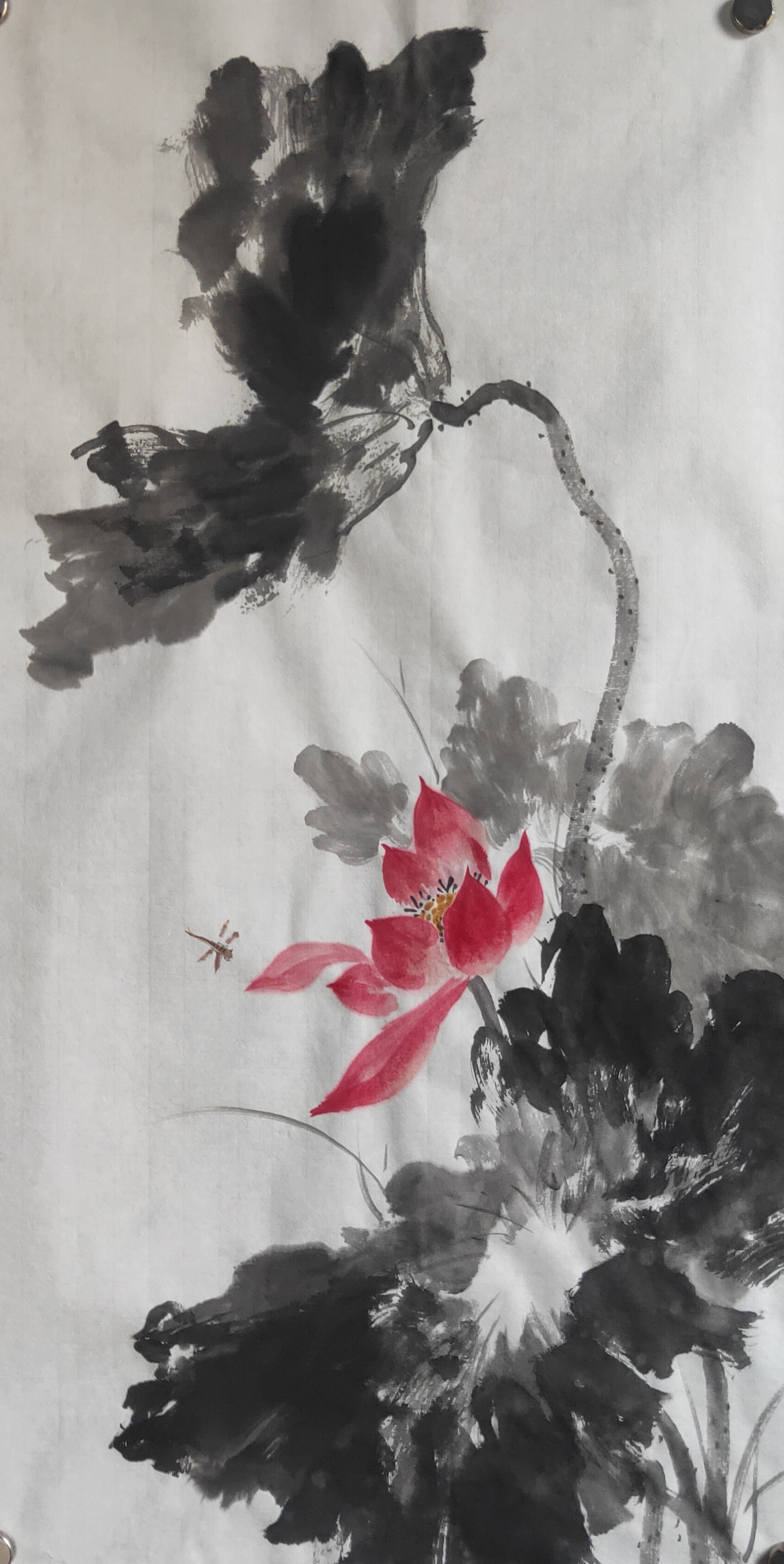 让清“莲”常驻于心