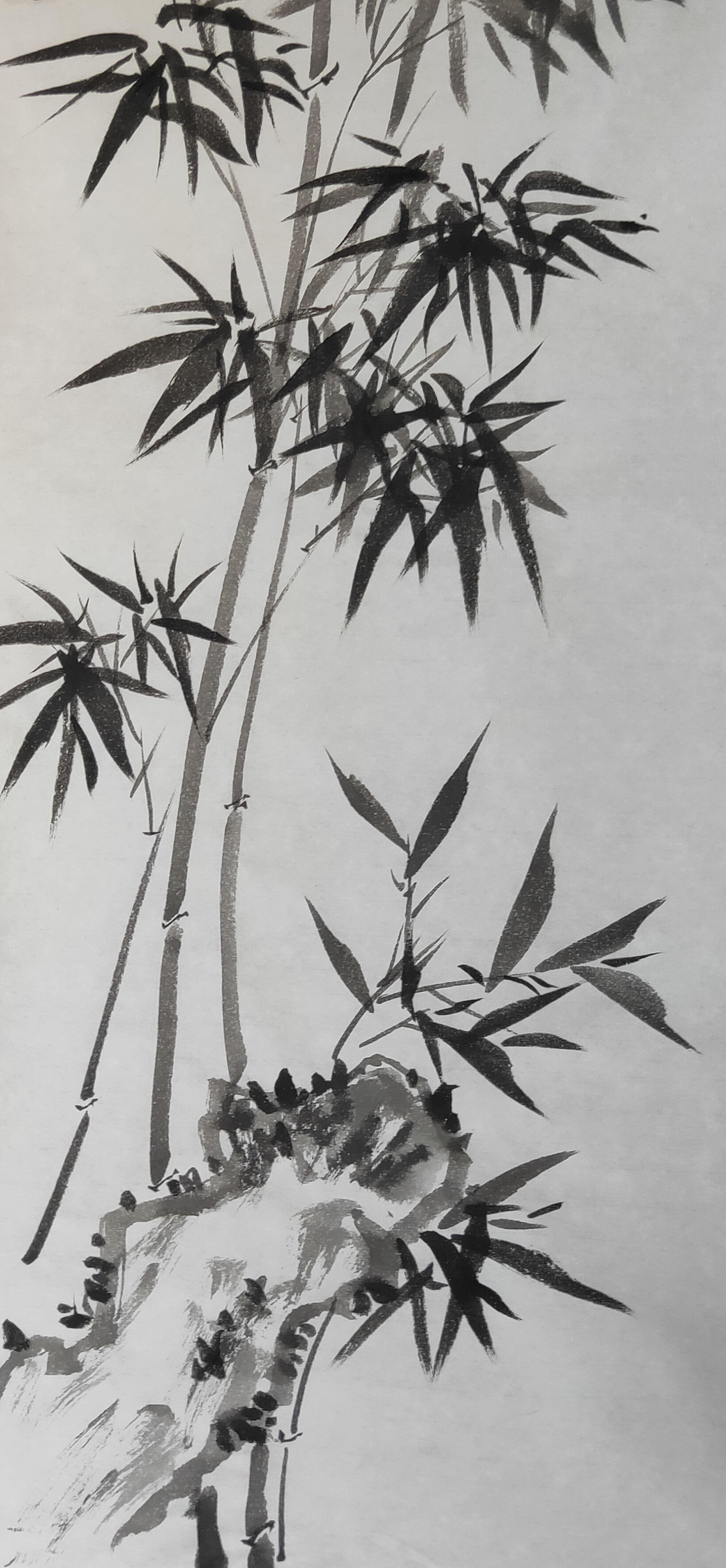 让清“莲”常驻于心