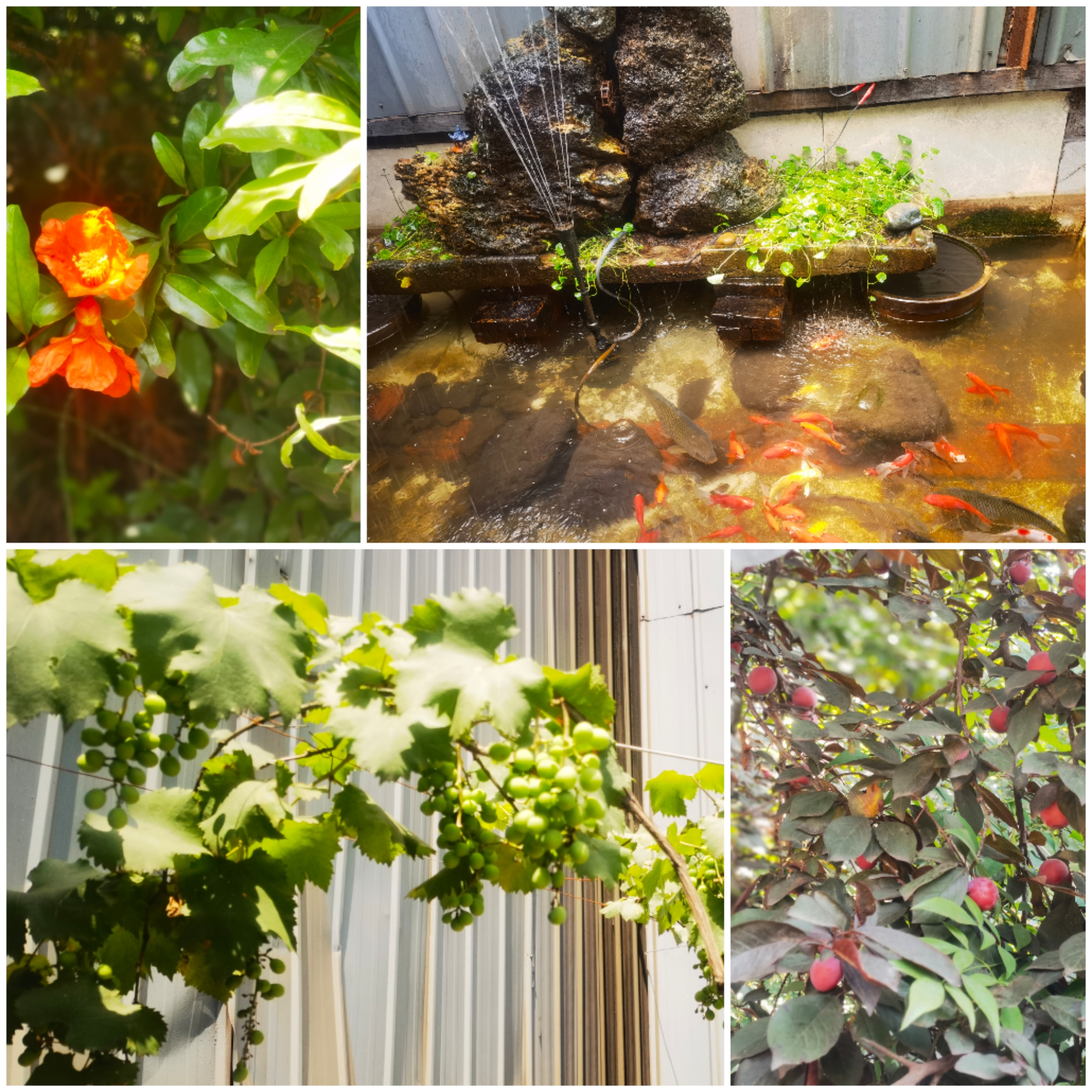 守护“烧结蓝”，解锁环保智慧密码