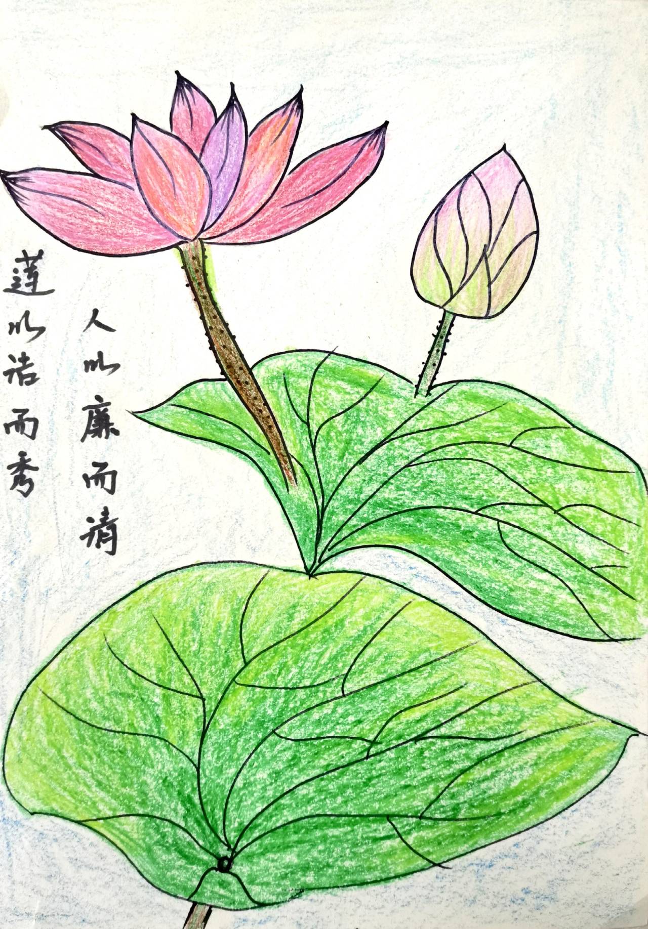 笔墨扬正气 画影送清风