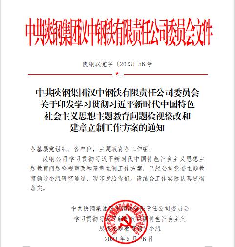 检视问题不松劲 整改落实重实效!公司全面深入推进检视整改工作 检视问题不松劲 整改落实重实效!公司全面深入推进检视整改工作
