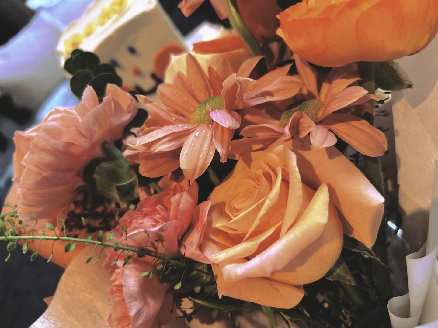 献给昨日的花束 献给昨日的花束