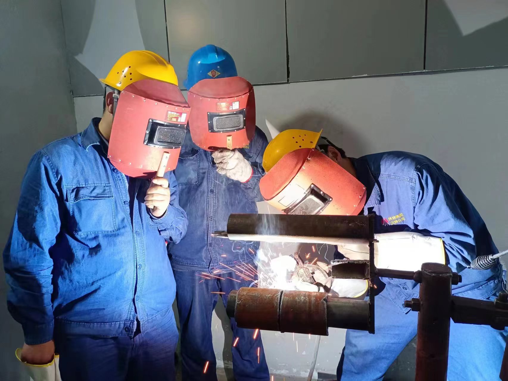 三步“育苗法”,厚植人才培养“新沃土” 三步“育苗法”,厚植人才培养“新沃土”