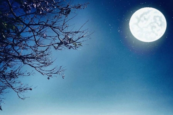 月是故乡明 月是故乡明