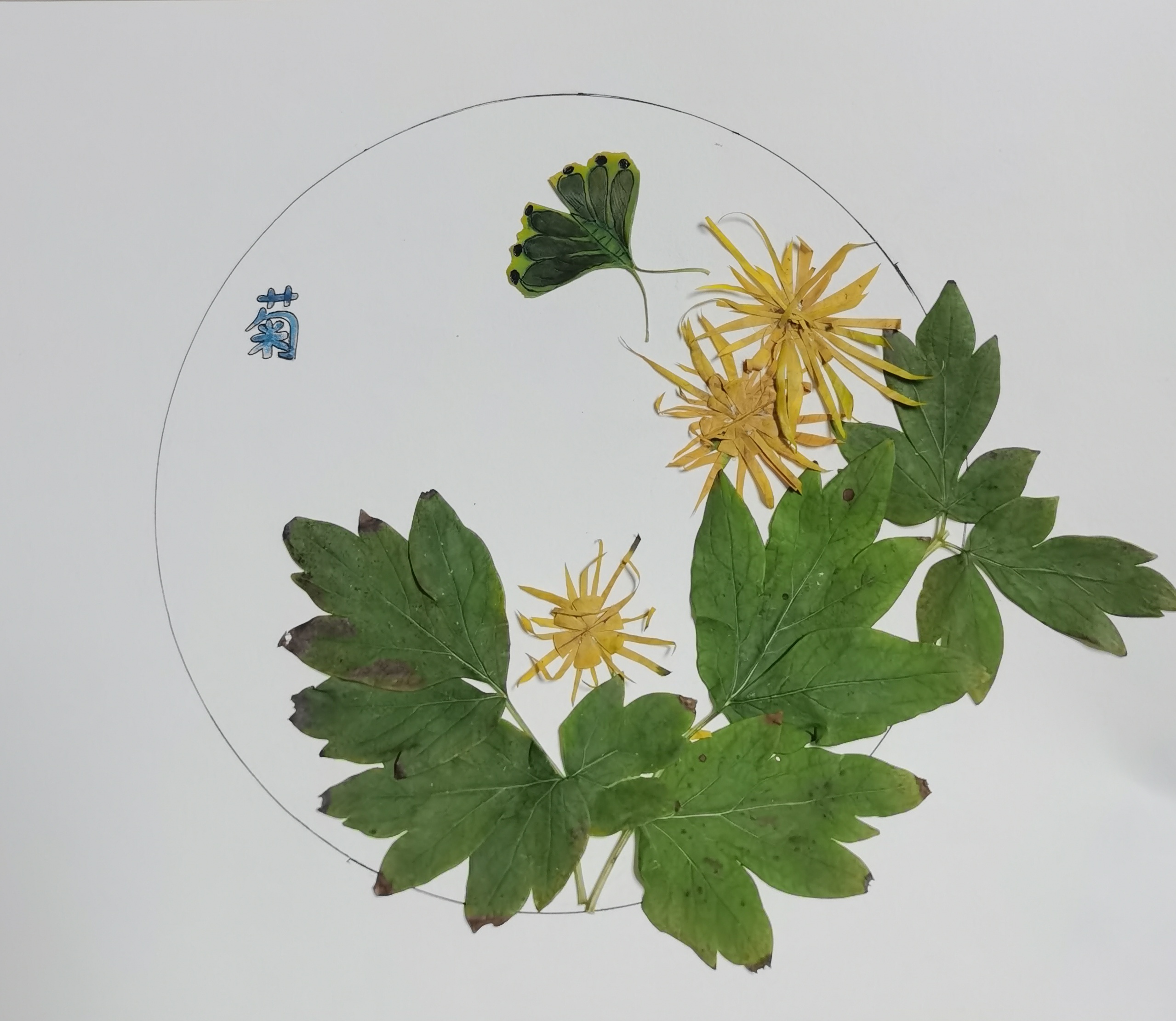 树叶画“廉洁” 清风润心田