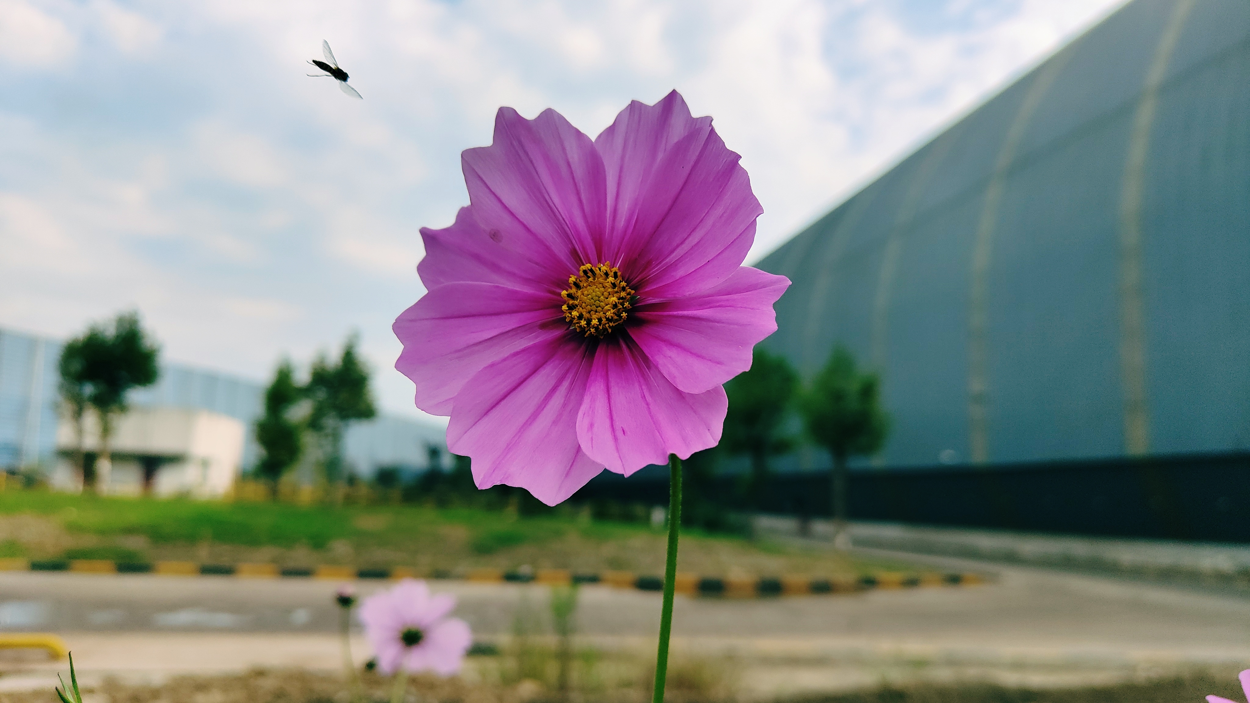 钢城寻秋 钢城寻秋