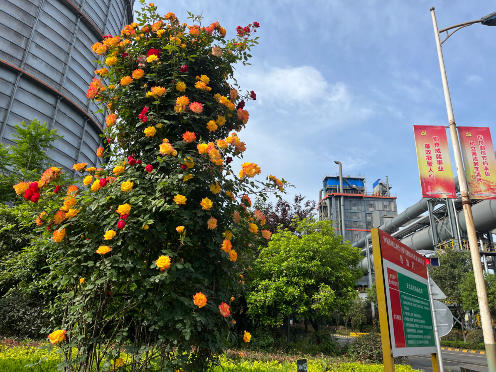 钢城寻秋 钢城寻秋