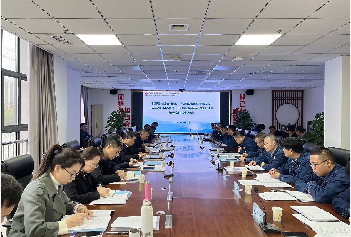 陕钢集团组织对重点项目进行综合竣工验收