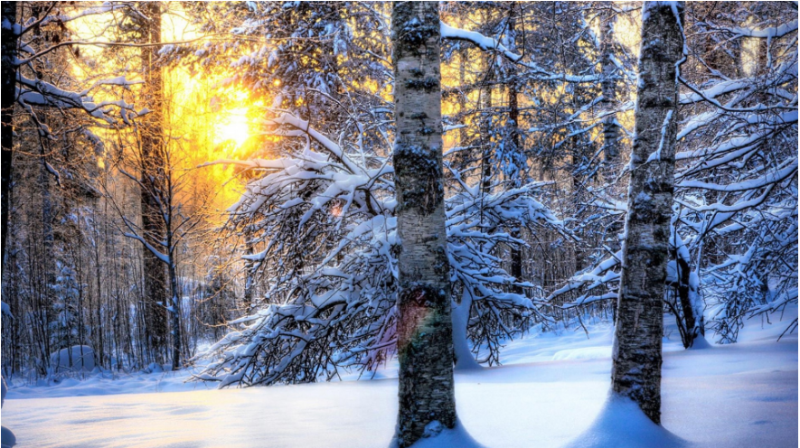 冬天的色彩 冬天的色彩