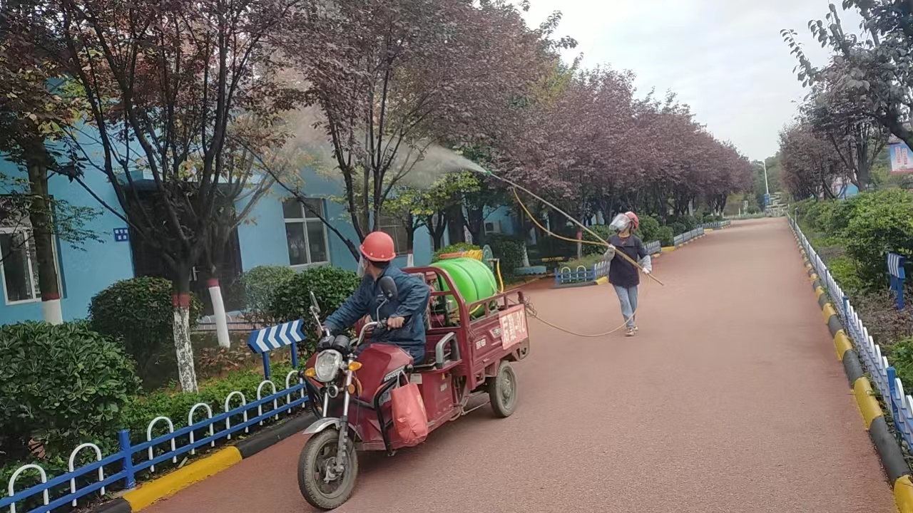 打响秋冬季绿化苗木养护组合拳，助力钢城新发展