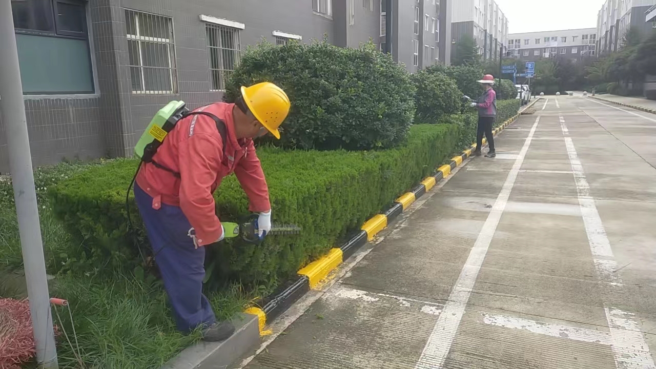 打响秋冬季绿化苗木养护组合拳，助力钢城新发展