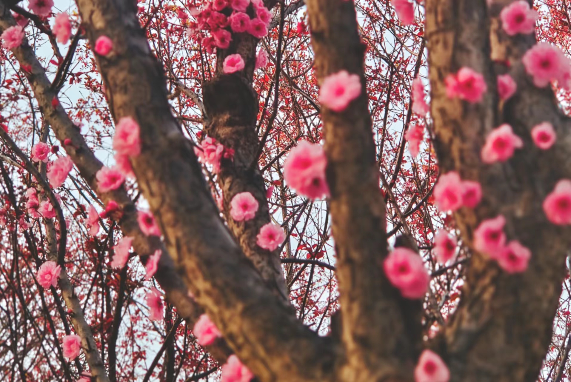 共赏春日景 踏上奋斗行 共赏春日景 踏上奋斗行