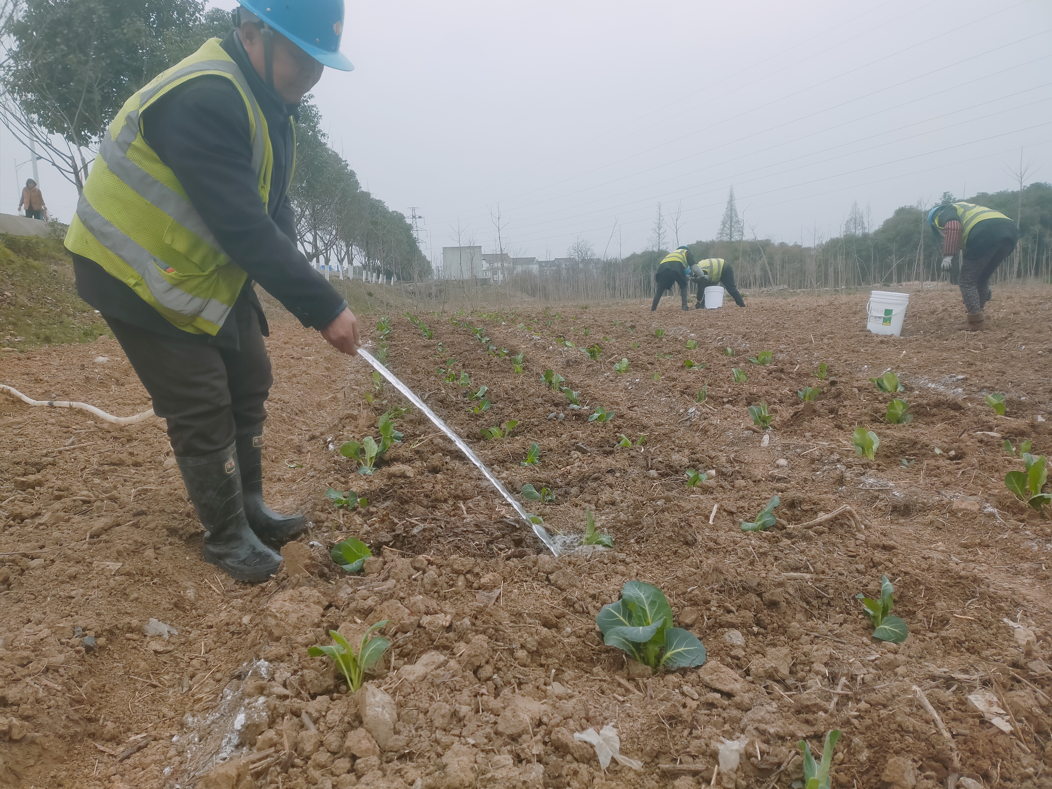 职工生活无小事，蔬菜种植试验田上线啦！