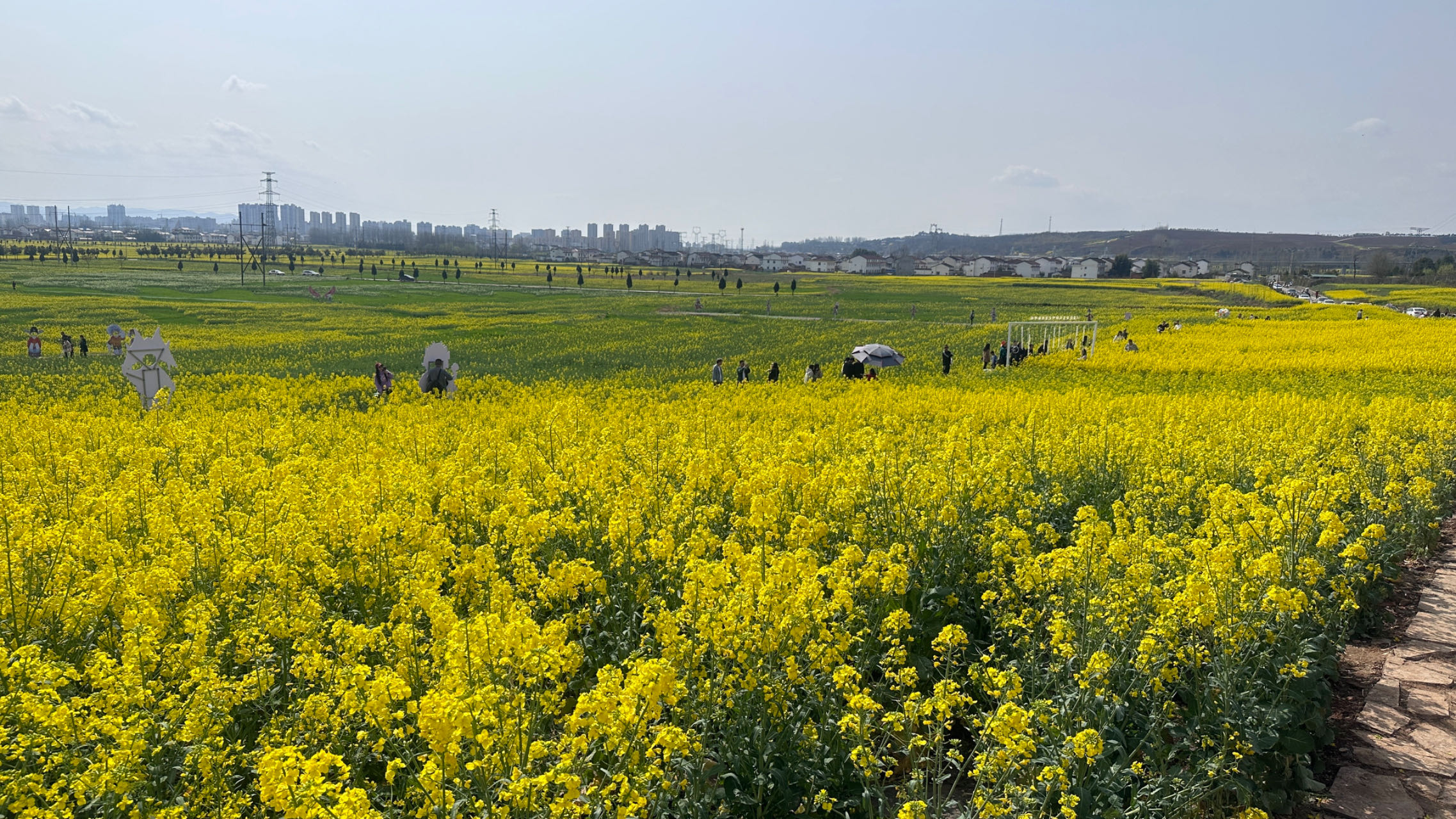 把春色留在眼前