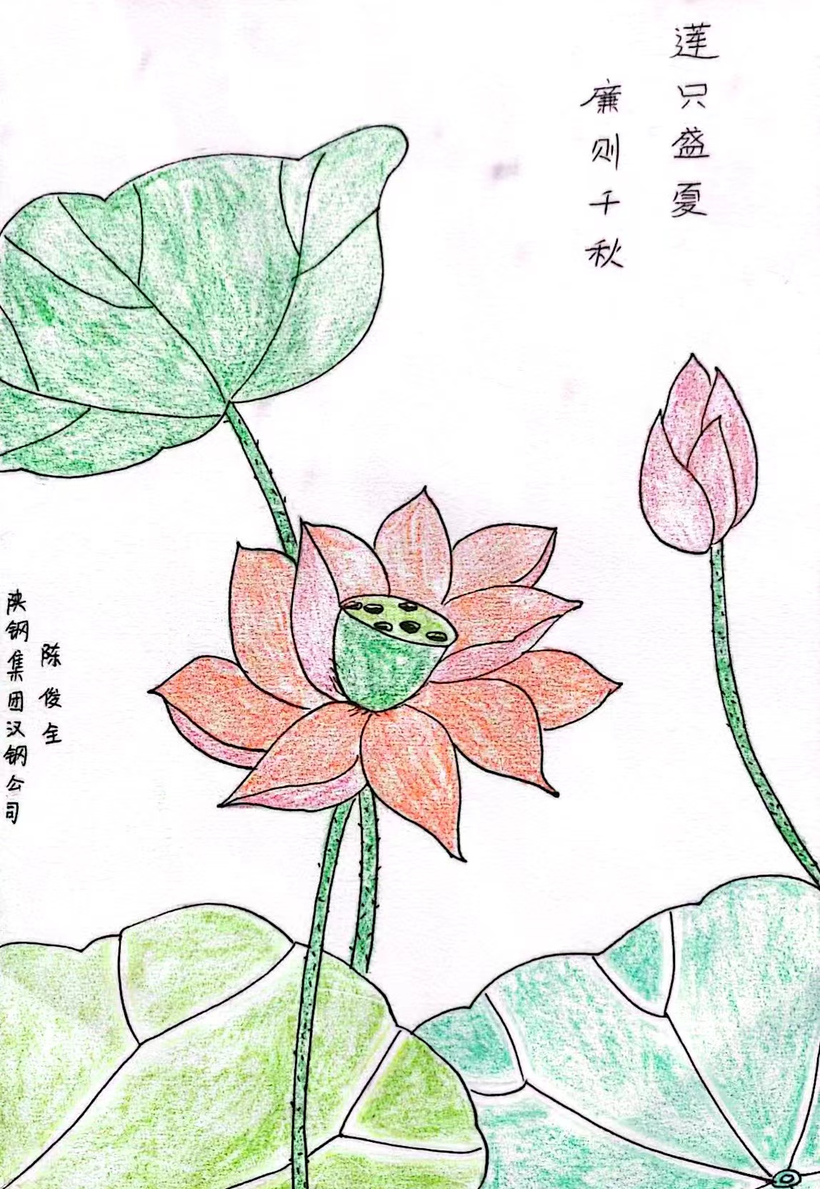 灼灼其莲，“廉”入我心