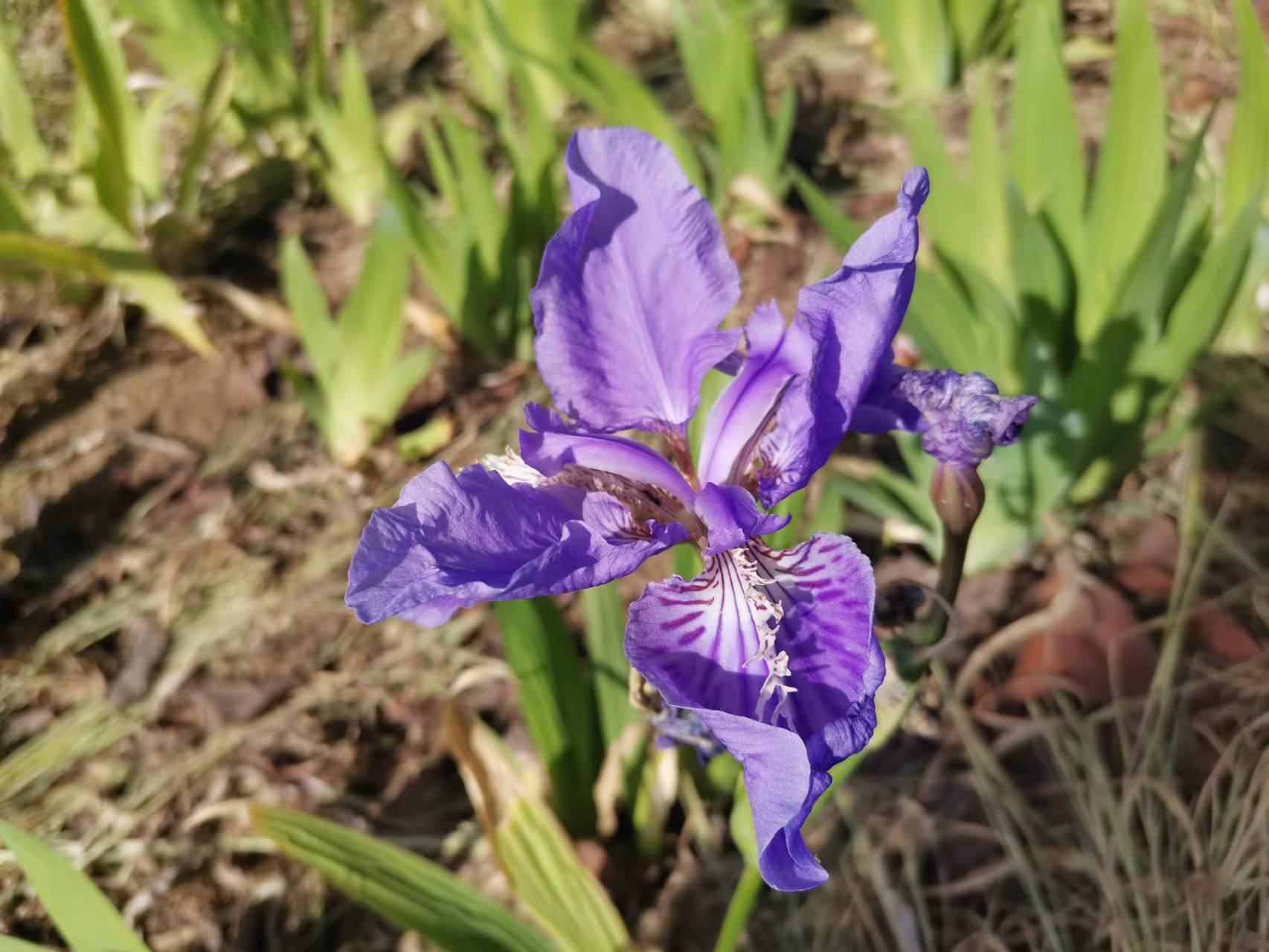 解锁！汉钢的“多巴胺”配色