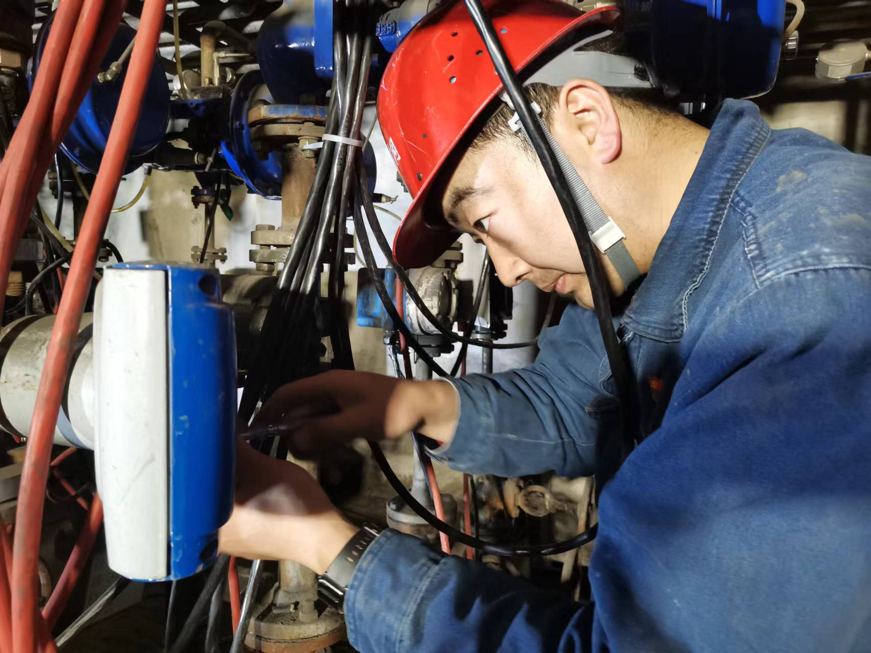 解锁！汉钢的“多巴胺”配色