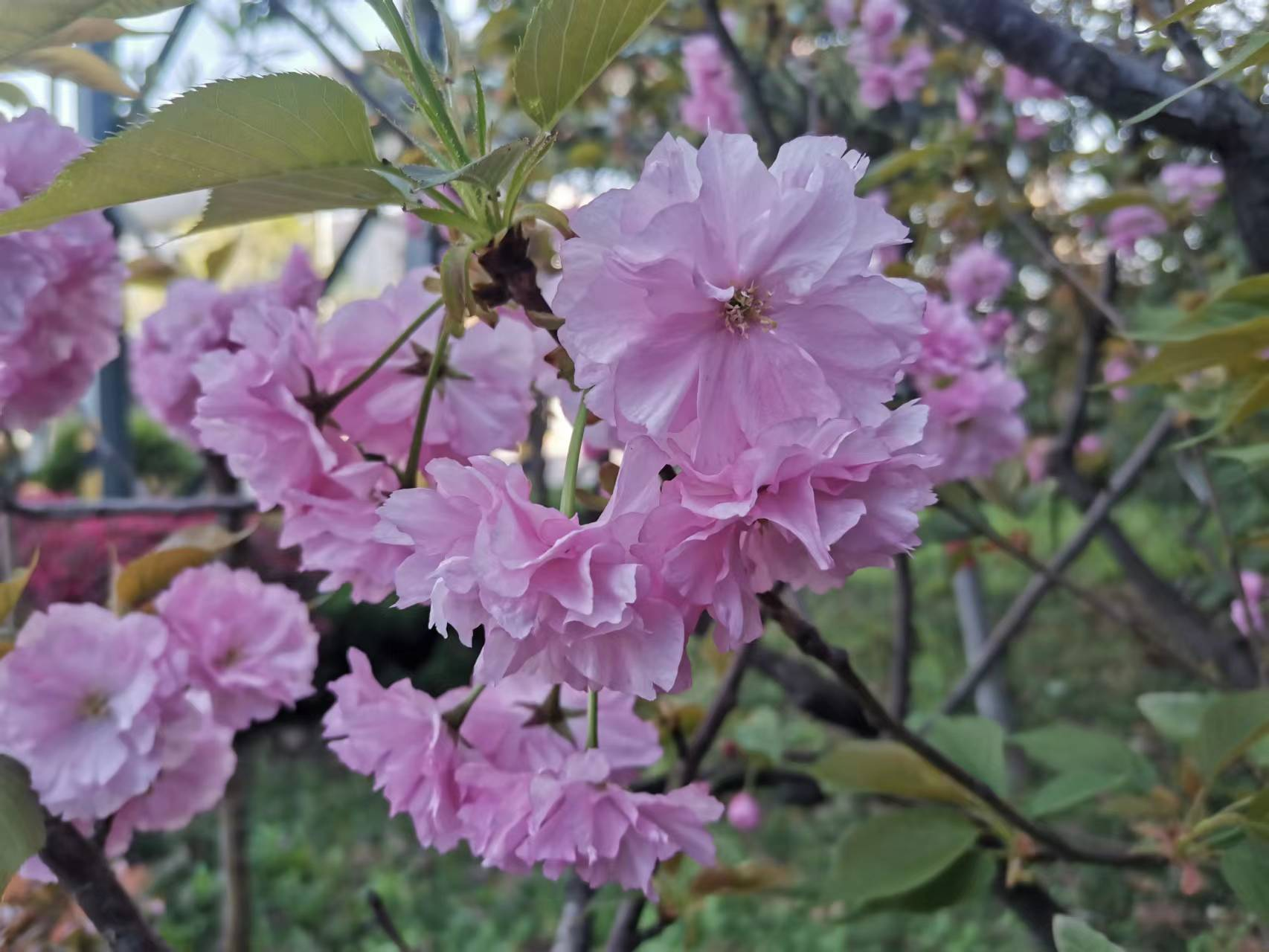 解锁！汉钢的“多巴胺”配色