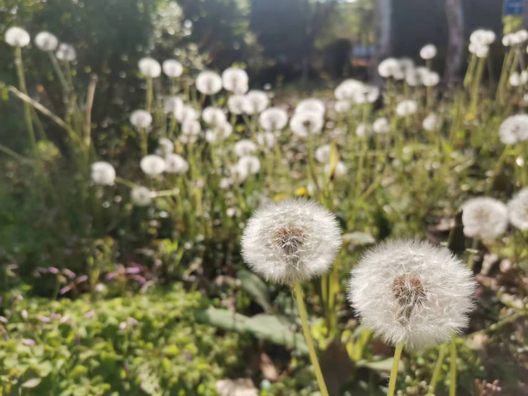 解锁！汉钢的“多巴胺”配色