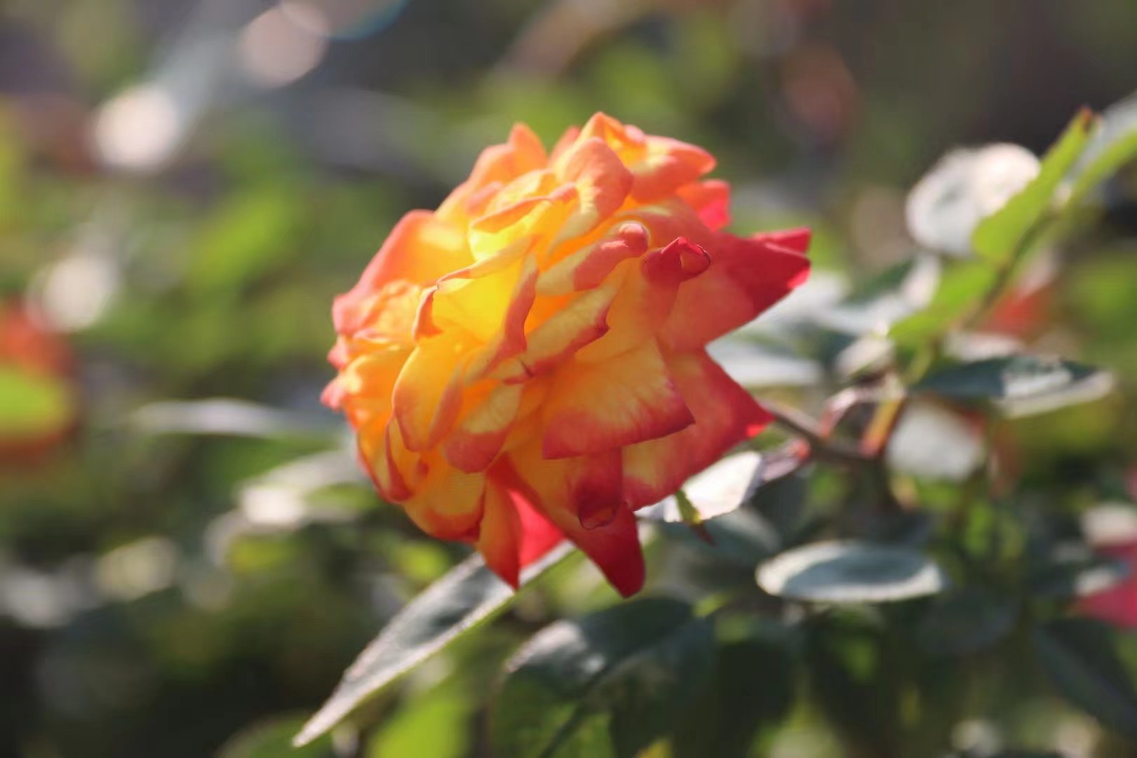 你要写夏天就不能只写夏天 你要写夏天就不能只写夏天