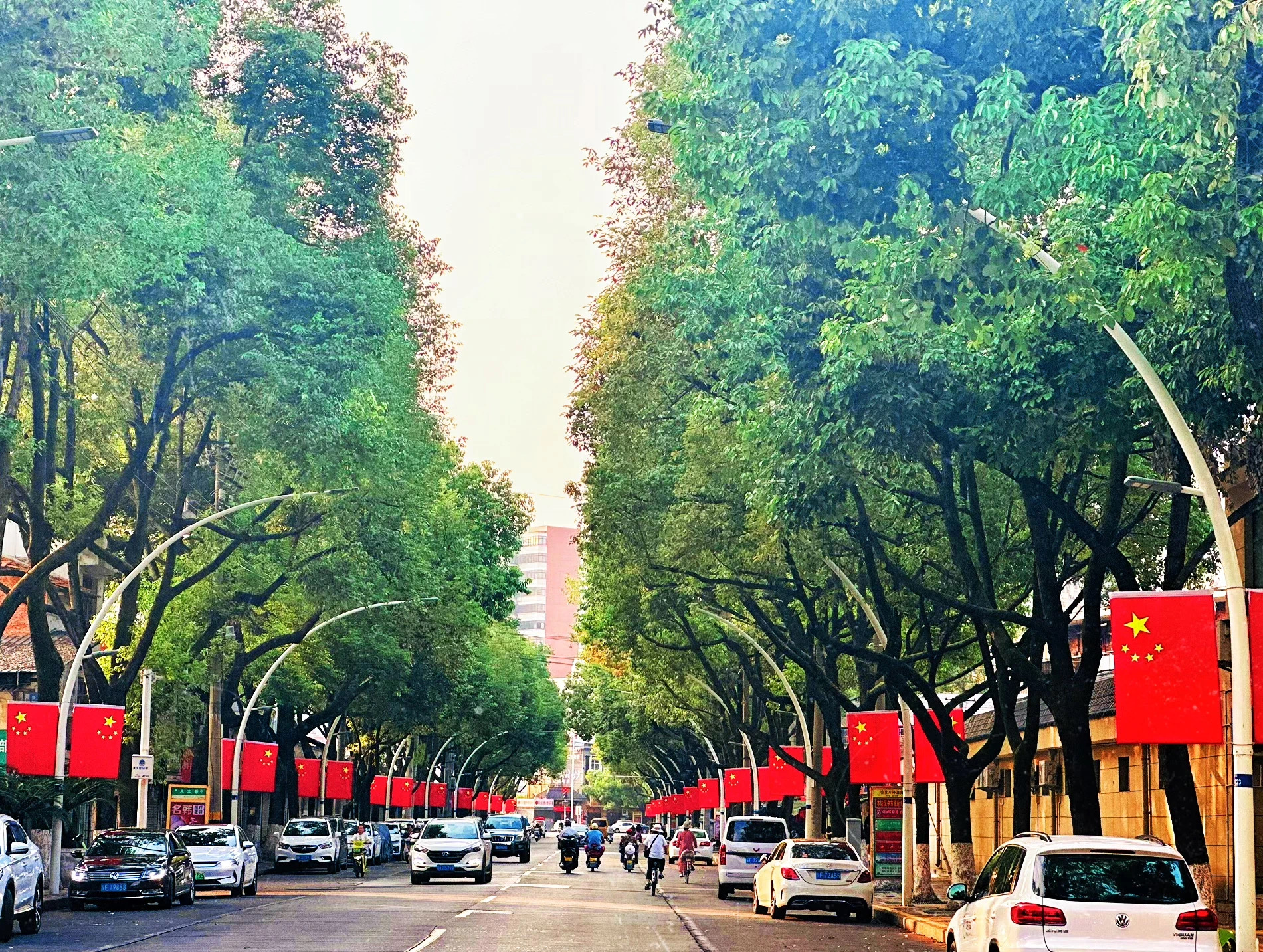 红旗旁的温情岁月 红旗旁的温情岁月