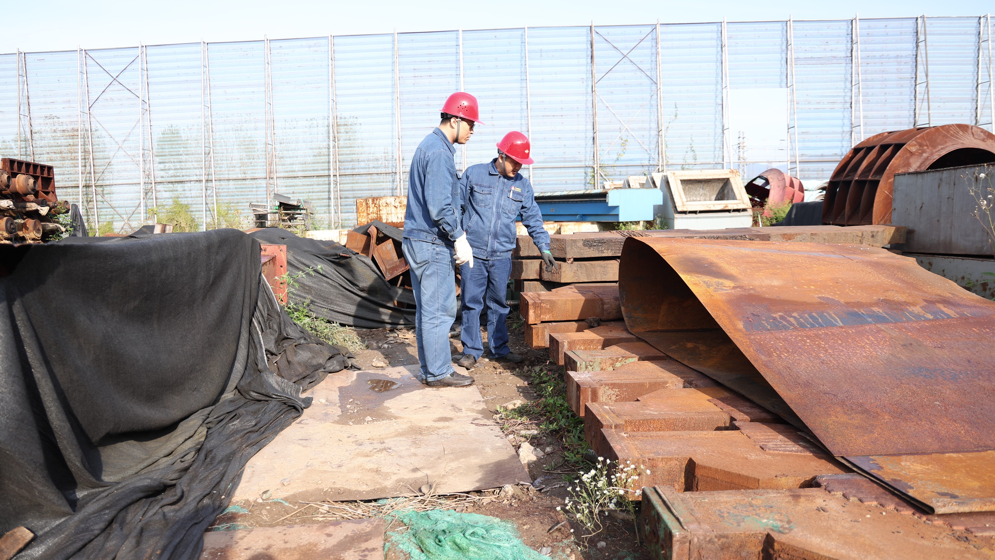 多维“廉”动 推动清廉建设提质增效 多维“廉”动 推动清廉建设提质增效