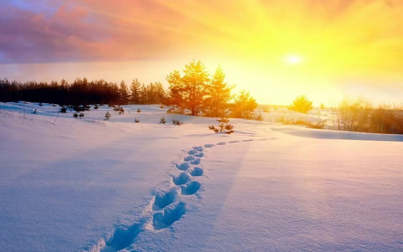 冬日的温情与希望 冬日的温情与希望