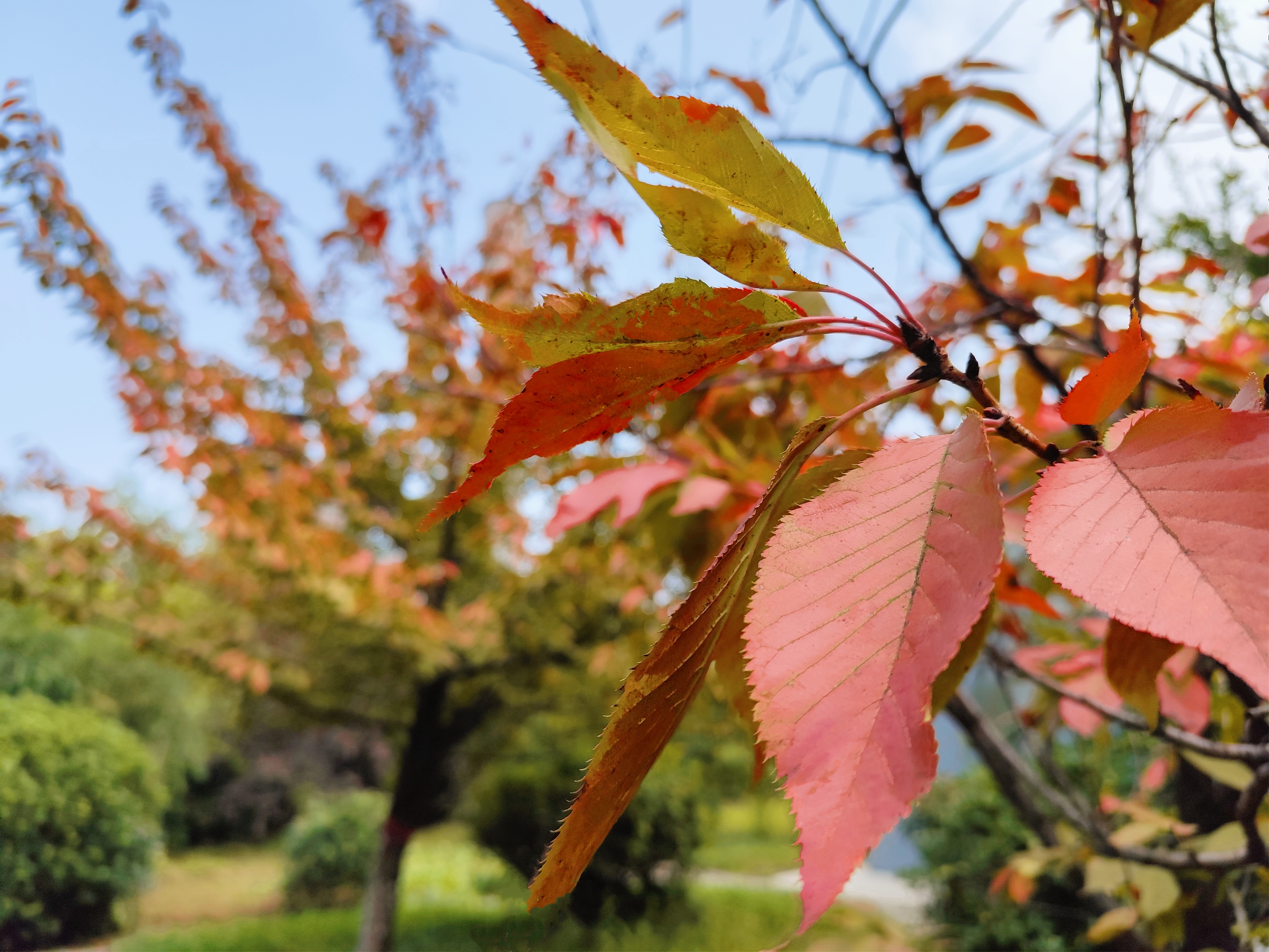 弹了钢城初春的弦